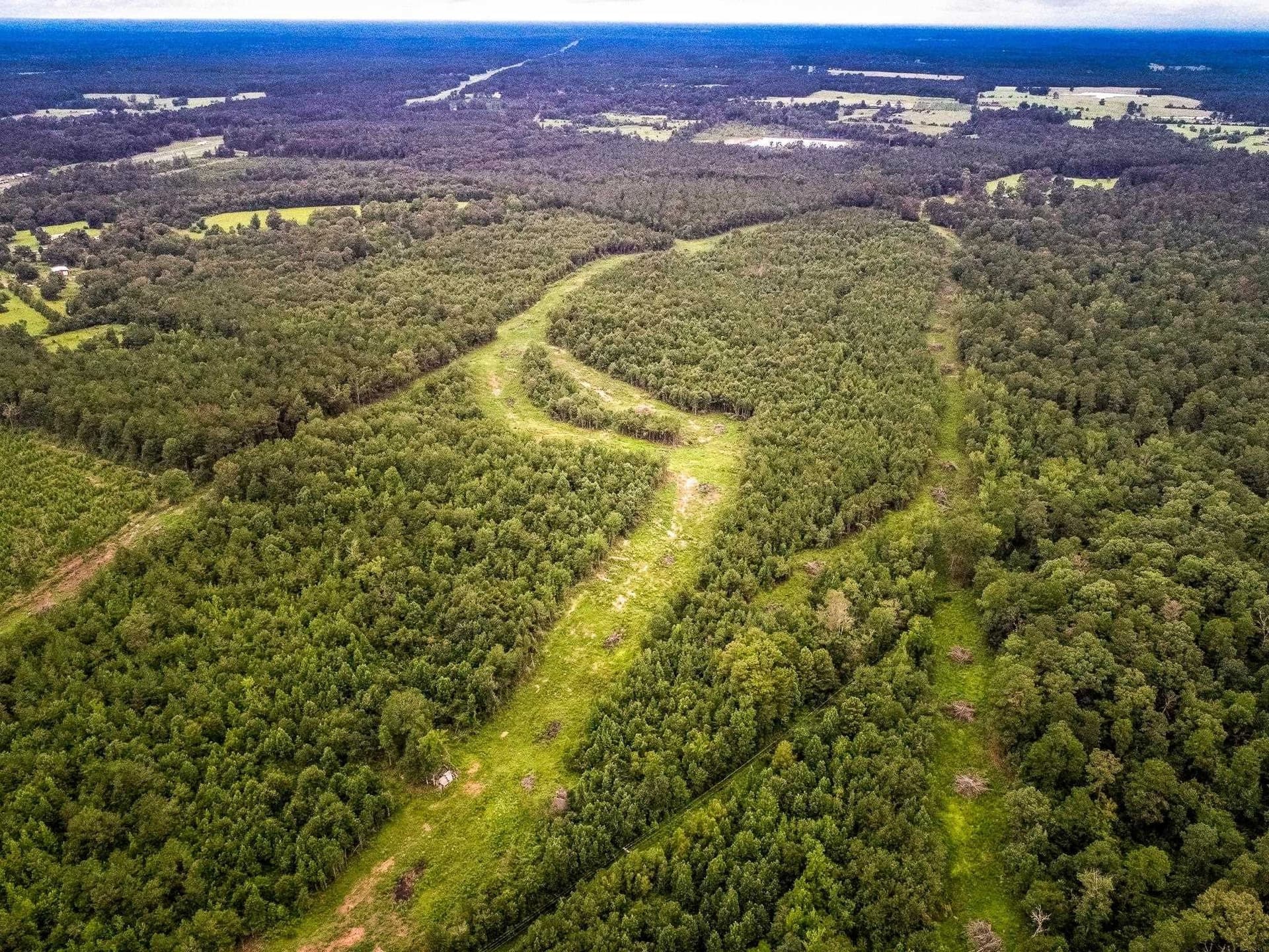 150.17 acres in Panola County featured view