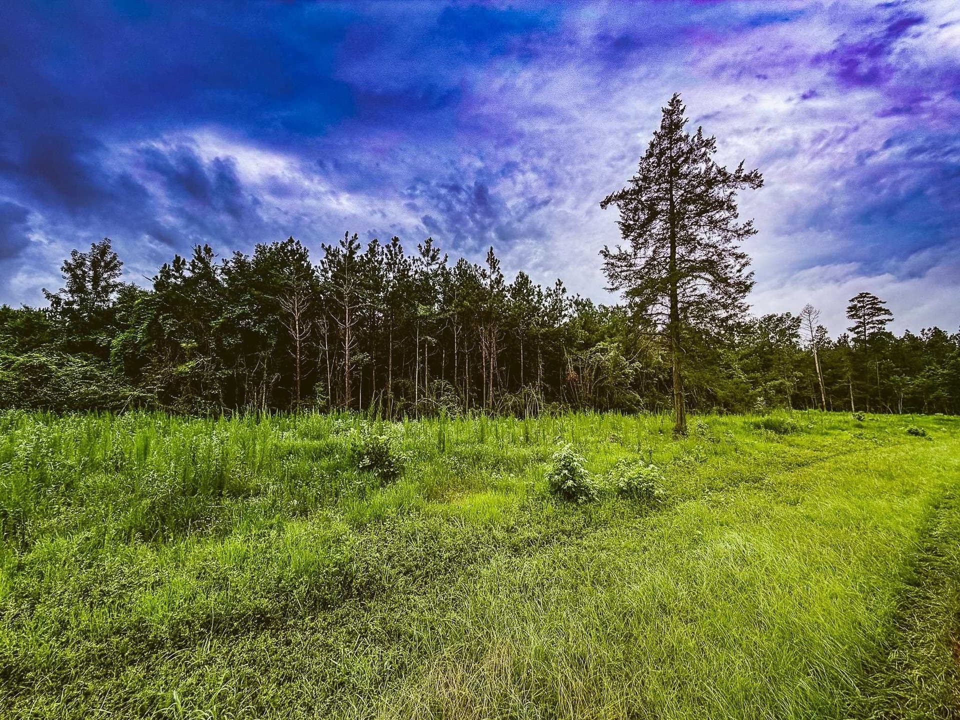 150.17 acres in Panola County - photo 11