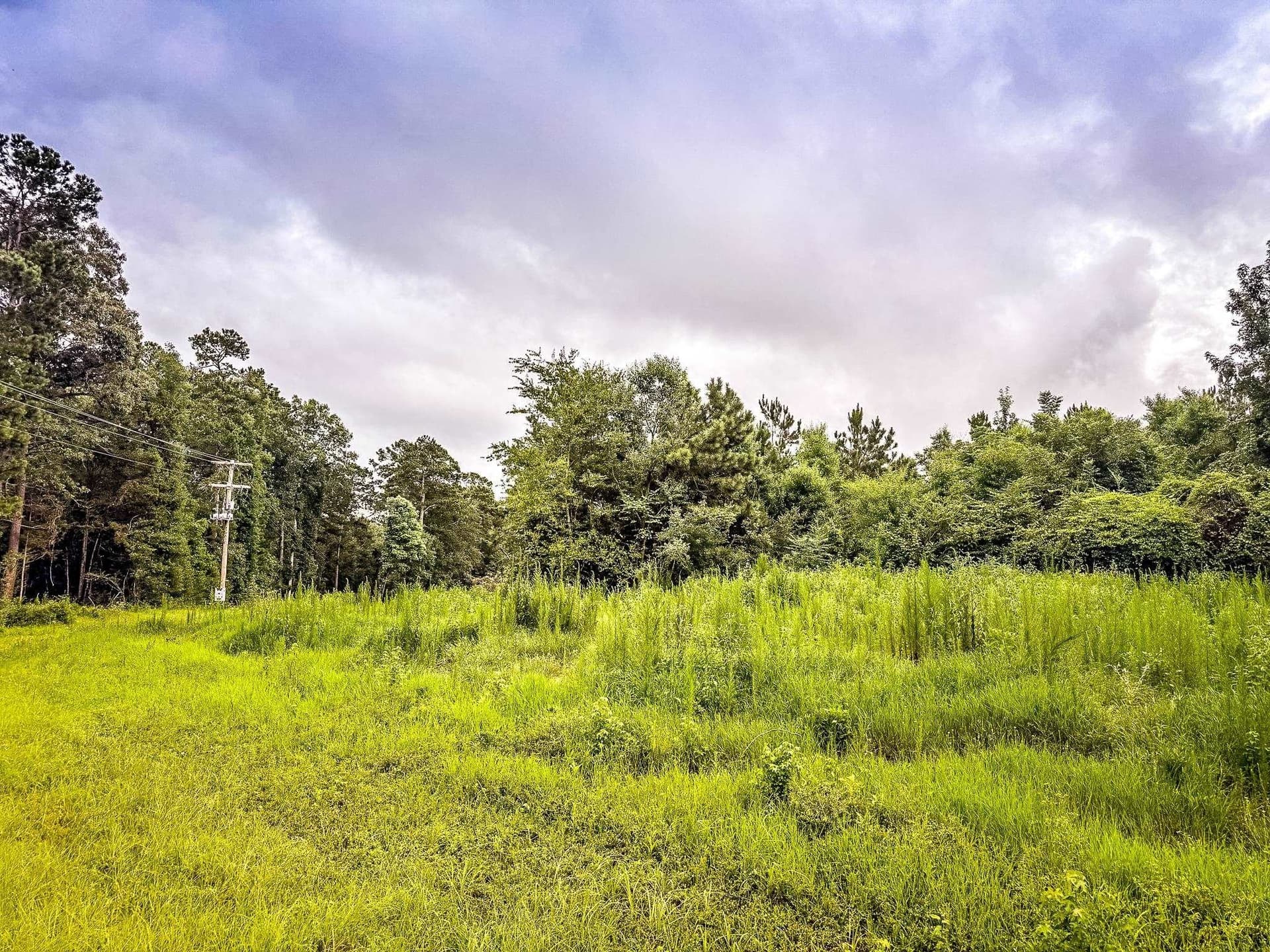 150.17 acres in Panola County - photo 8