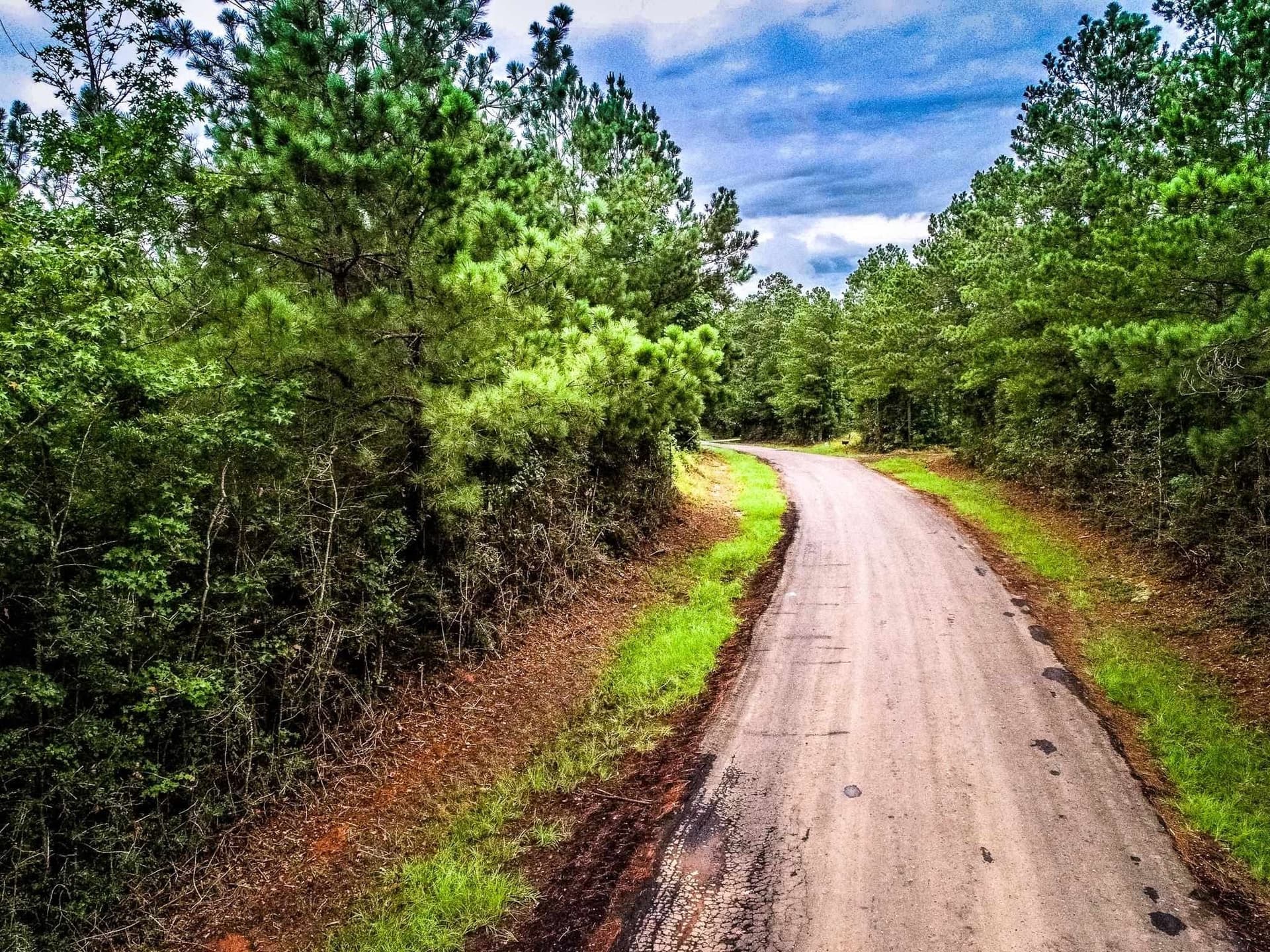 150.17 acres in Panola County gallery image 2