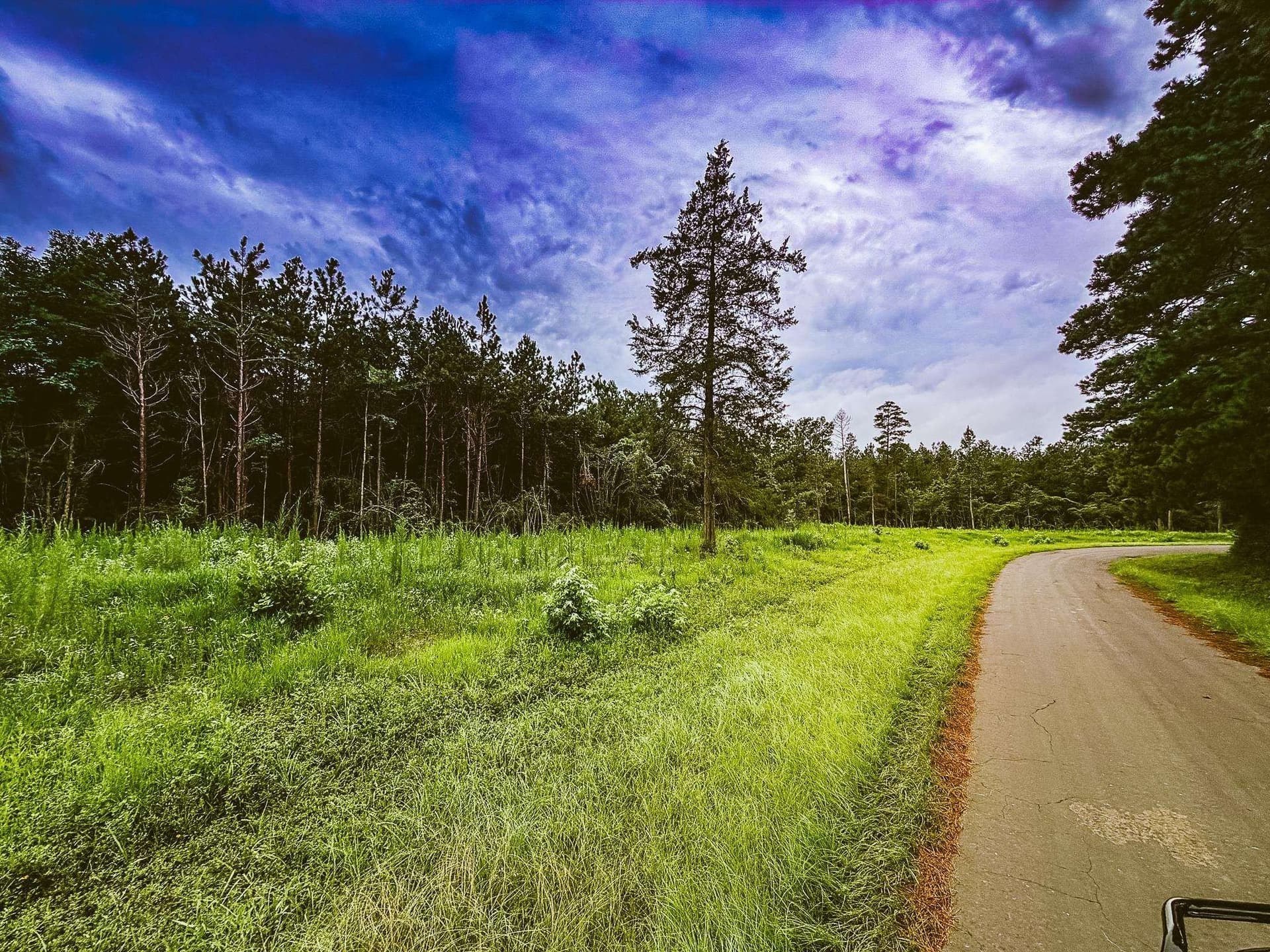 150.17 acres in Panola County - photo 10