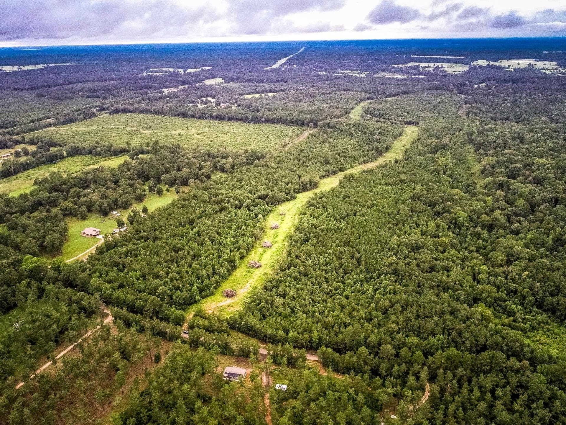 150.17 acres in Panola County gallery image 3