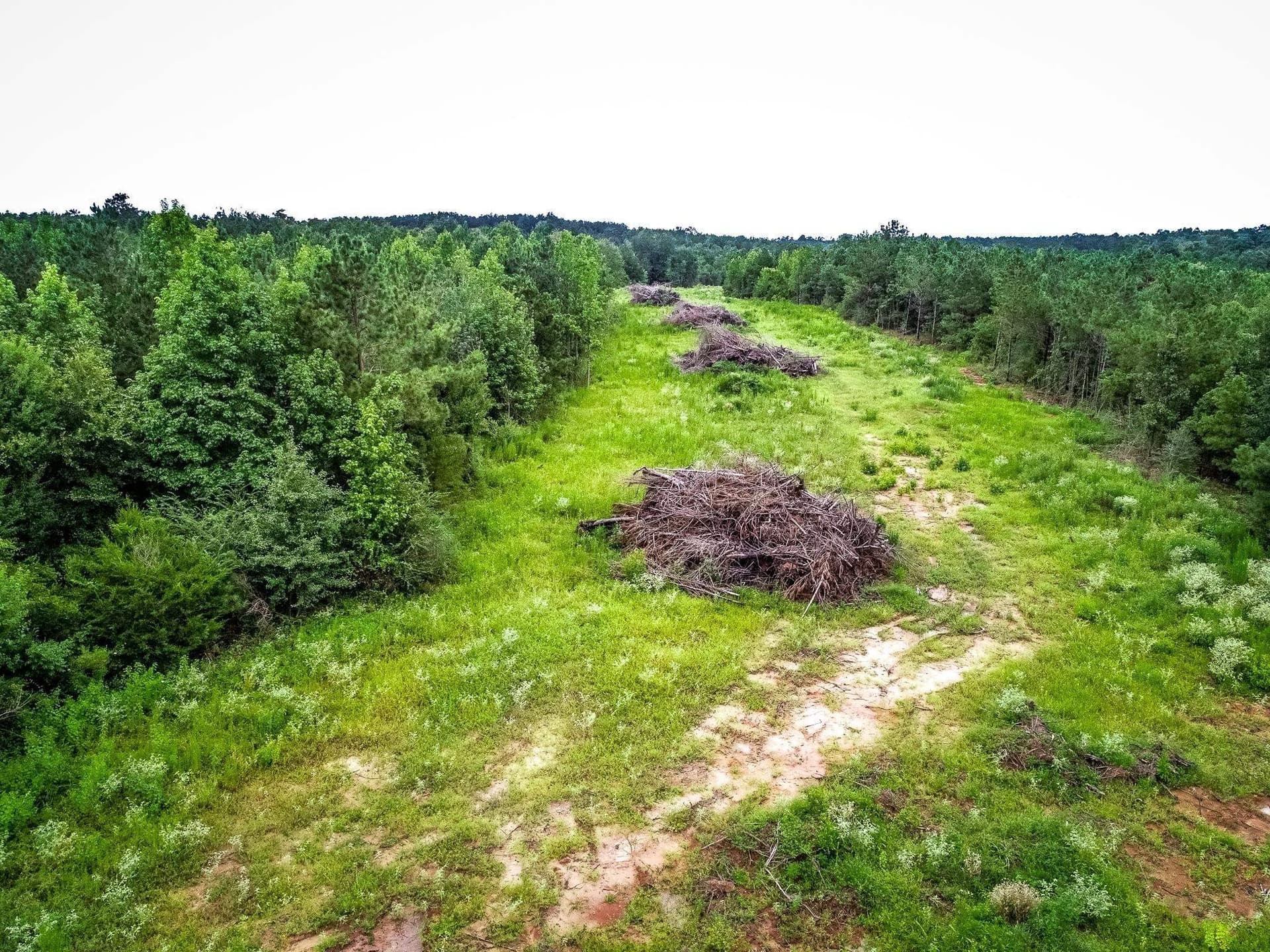 150.17 acres in Panola County - photo 7