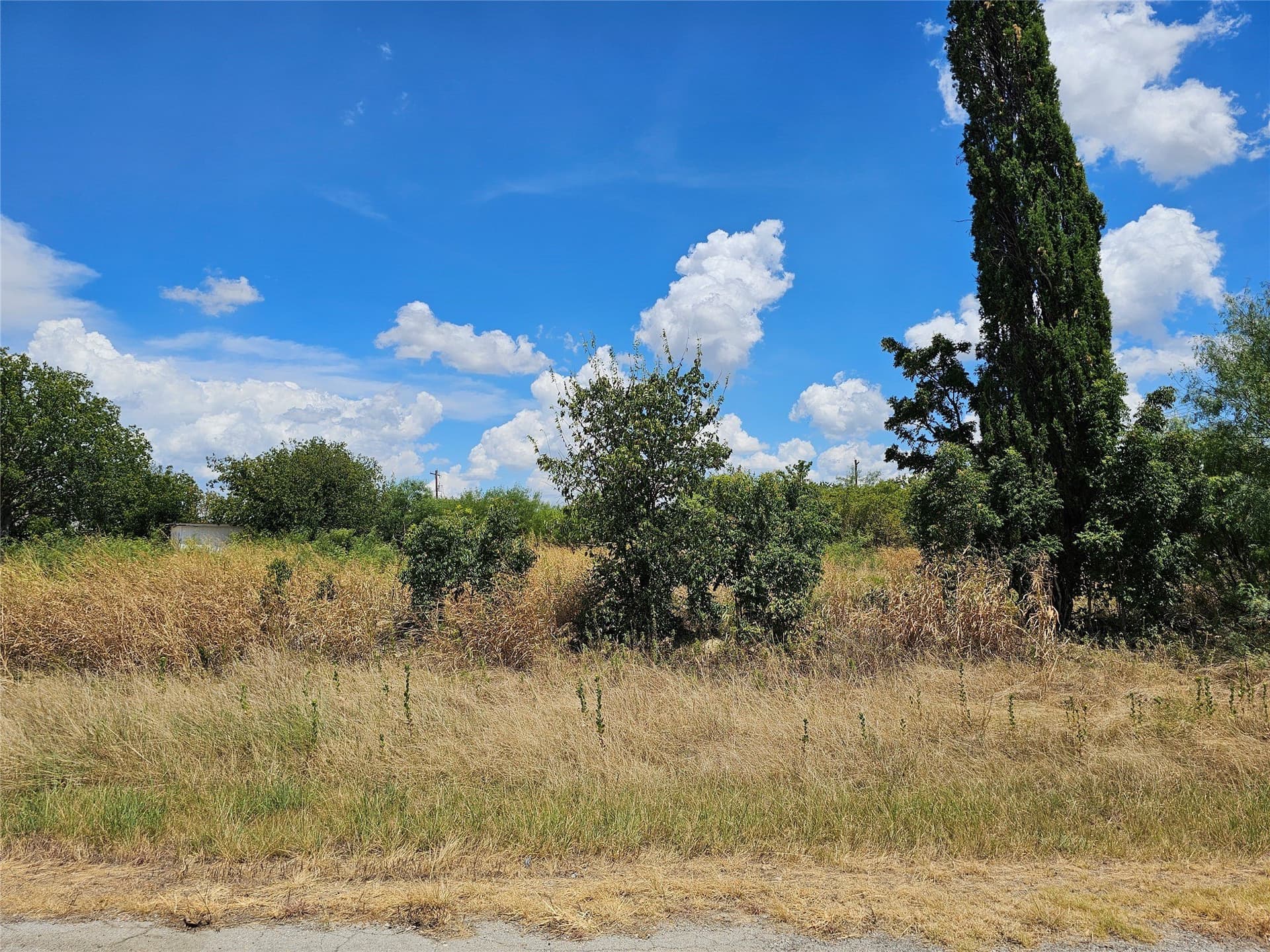 0.36 acres in Coleman County gallery image 4
