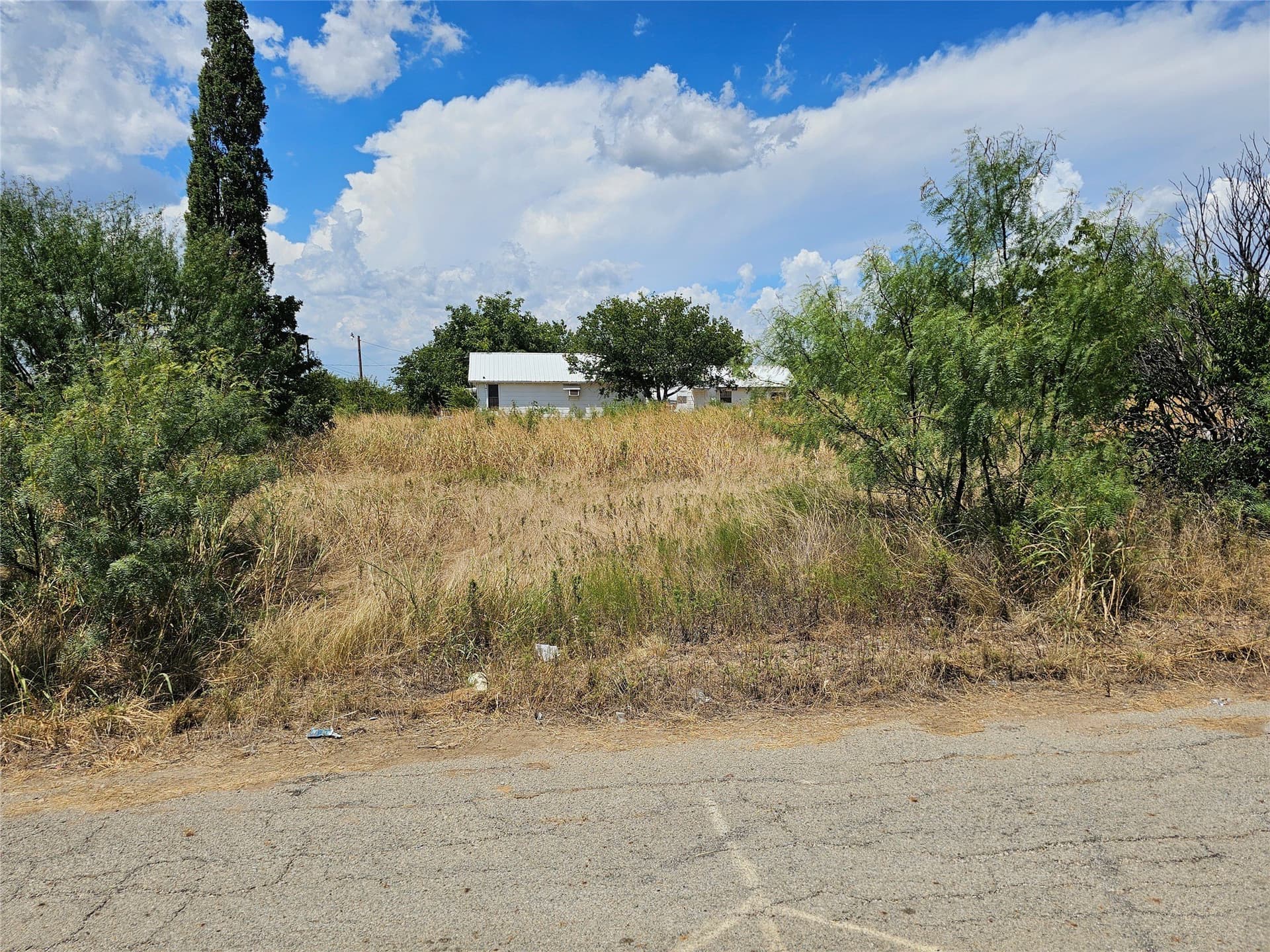 0.36 acres in Coleman County gallery image 3