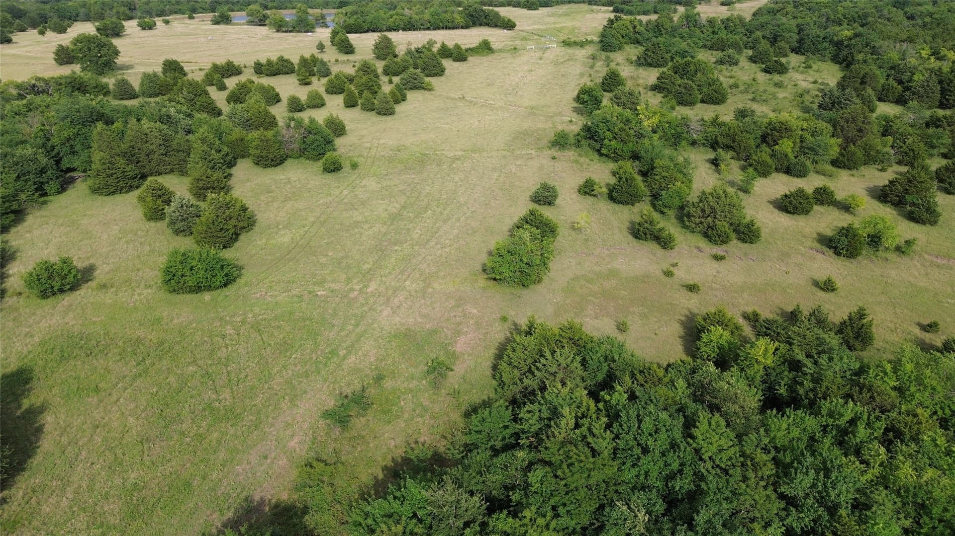 77.34 acres in Hunt County gallery image 3
