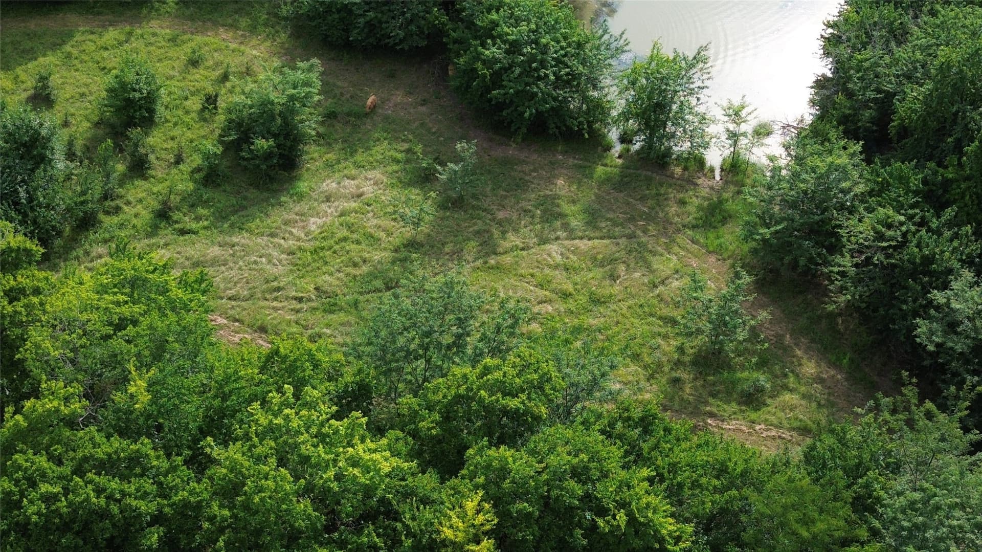 77.34 acres in Hunt County - photo 19