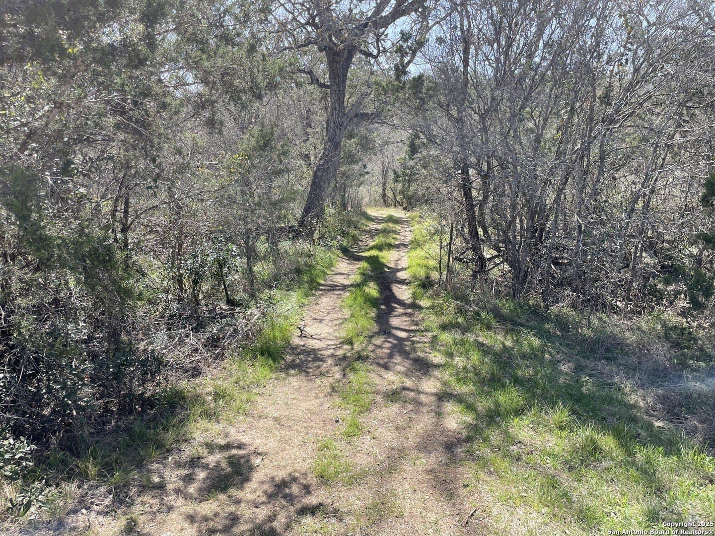 10.19 acres in Medina County gallery image 4