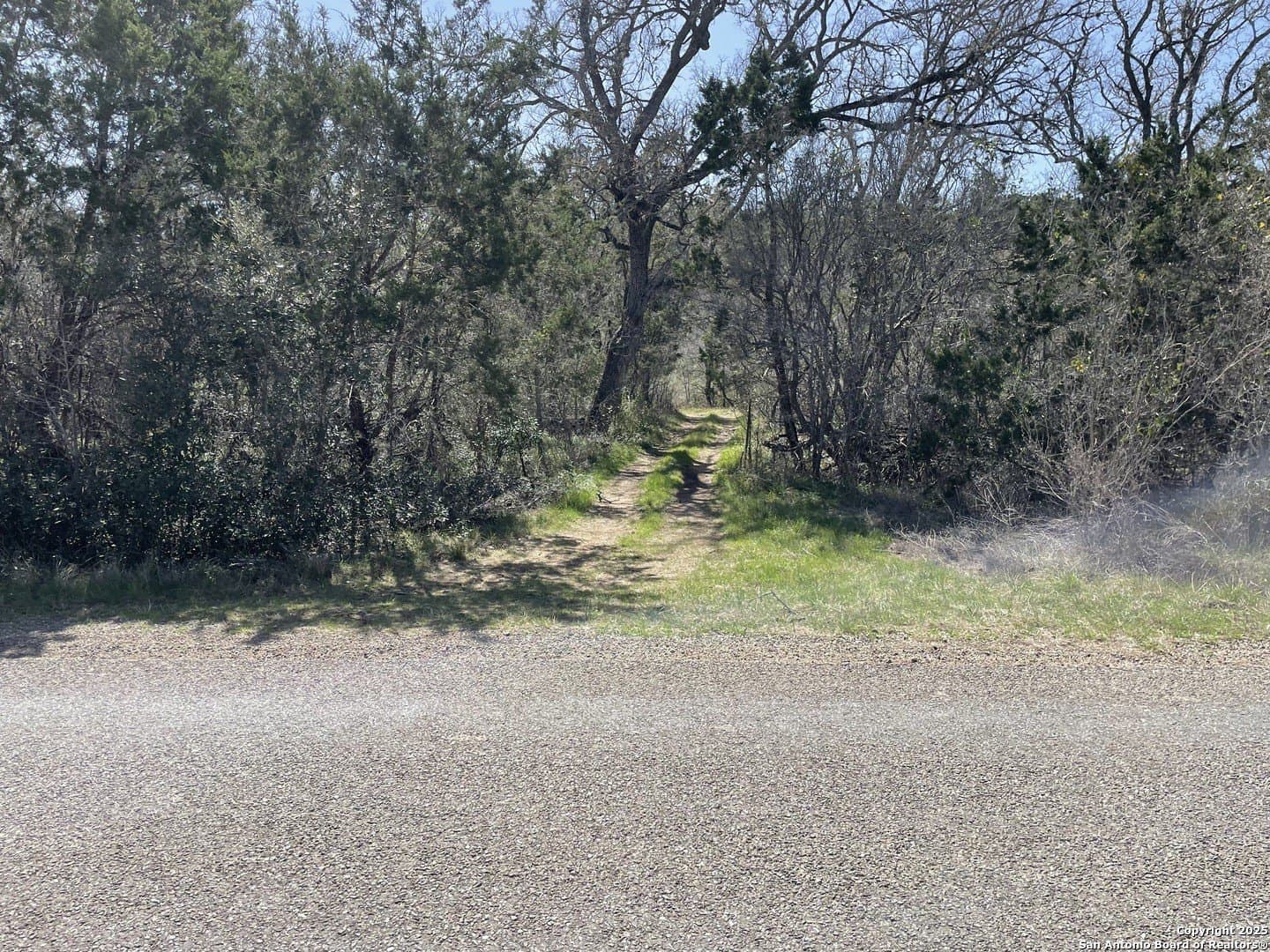 10.19 acres in Medina County gallery image 3