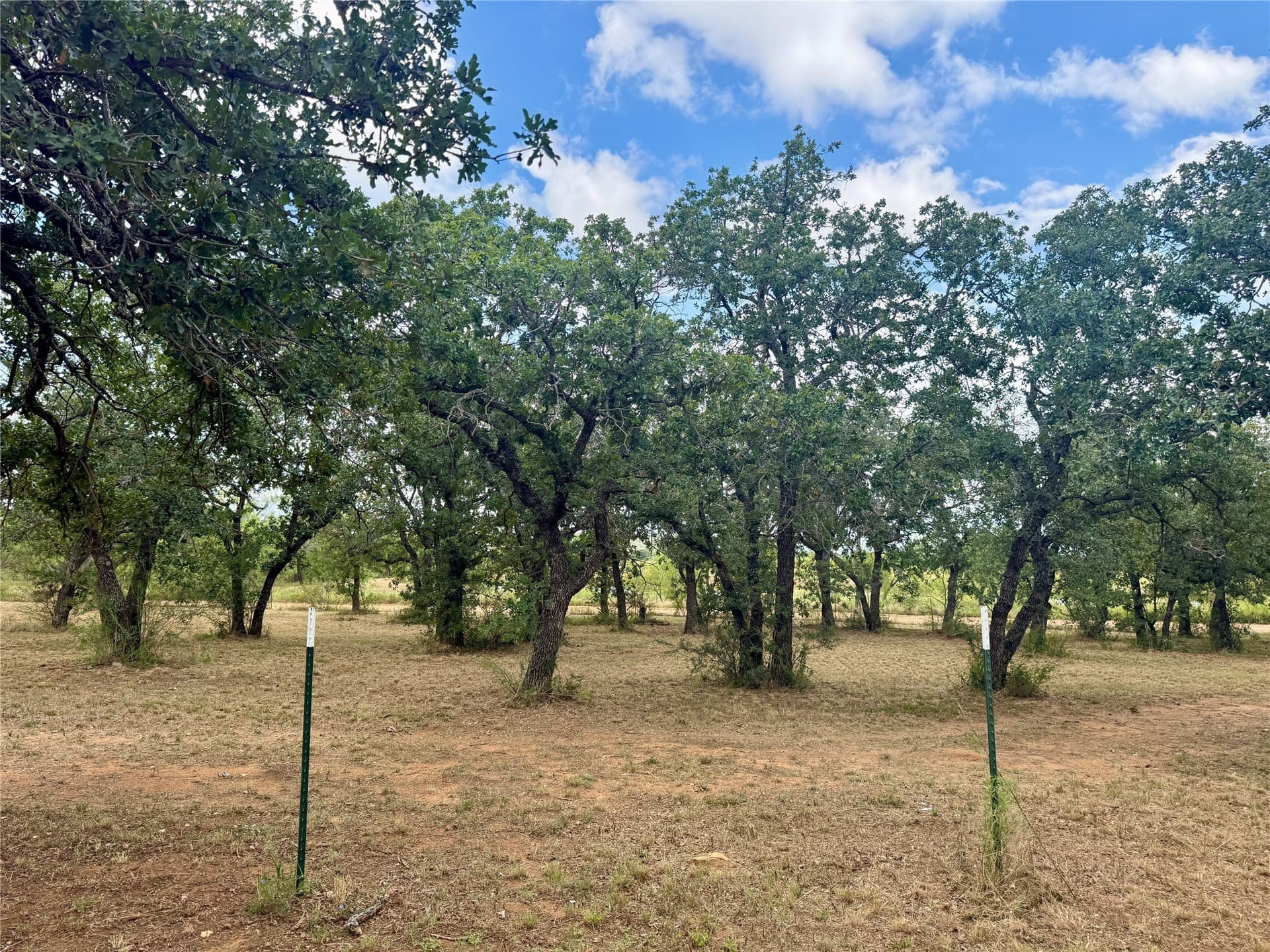 19.33 acres in Coleman County - photo 27