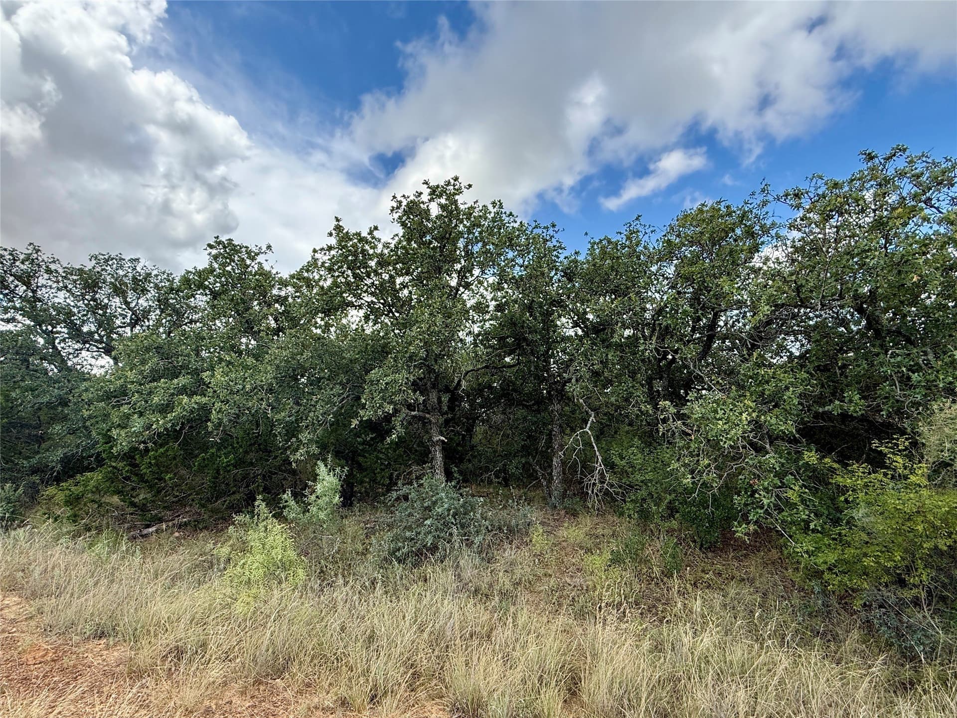 19.33 acres in Coleman County - photo 18
