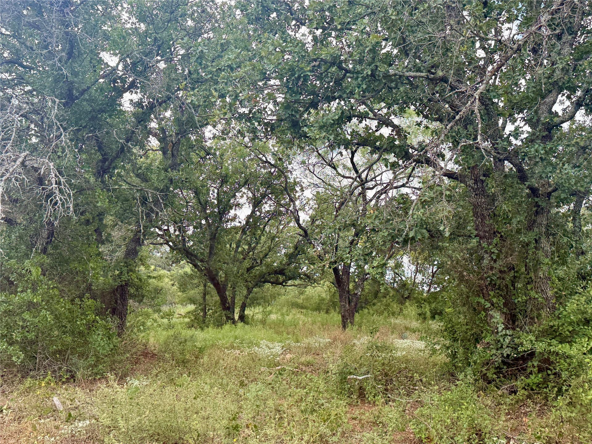 19.33 acres in Coleman County - photo 3