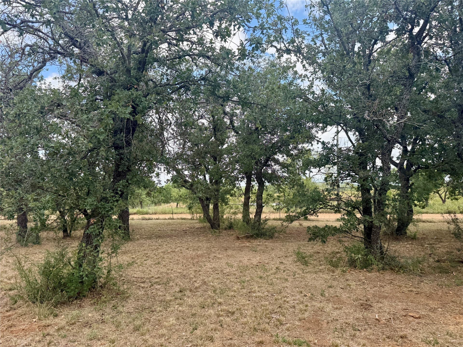 19.33 acres in Coleman County - photo 19