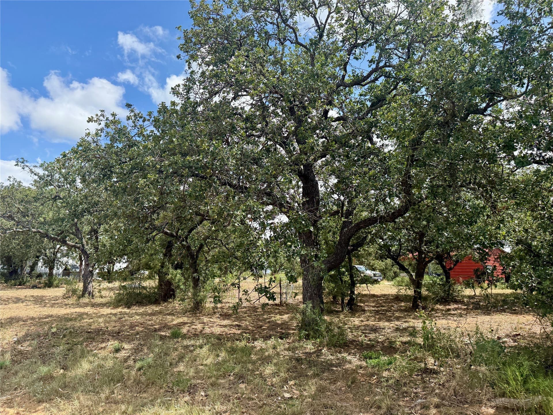 19.33 acres in Coleman County - photo 7