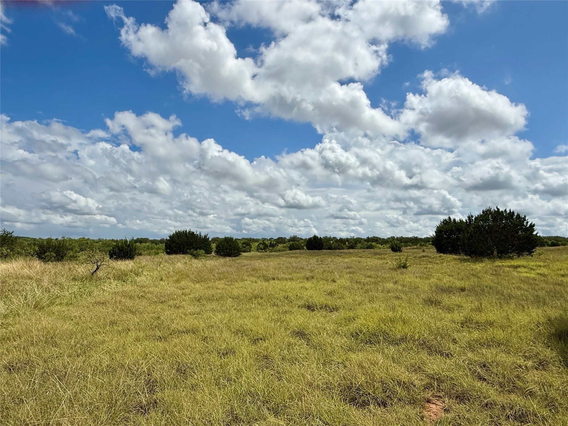 19.33 acres in Coleman County - photo 31