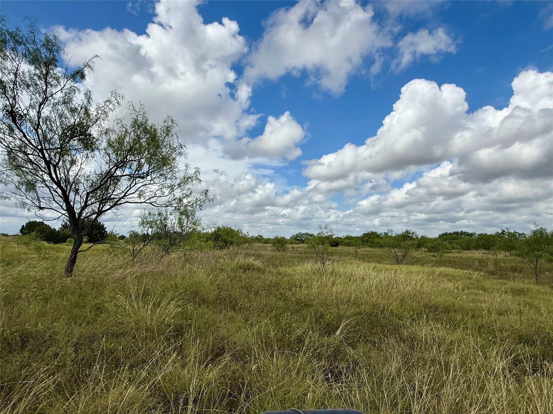 19.33 acres in Coleman County - photo 30