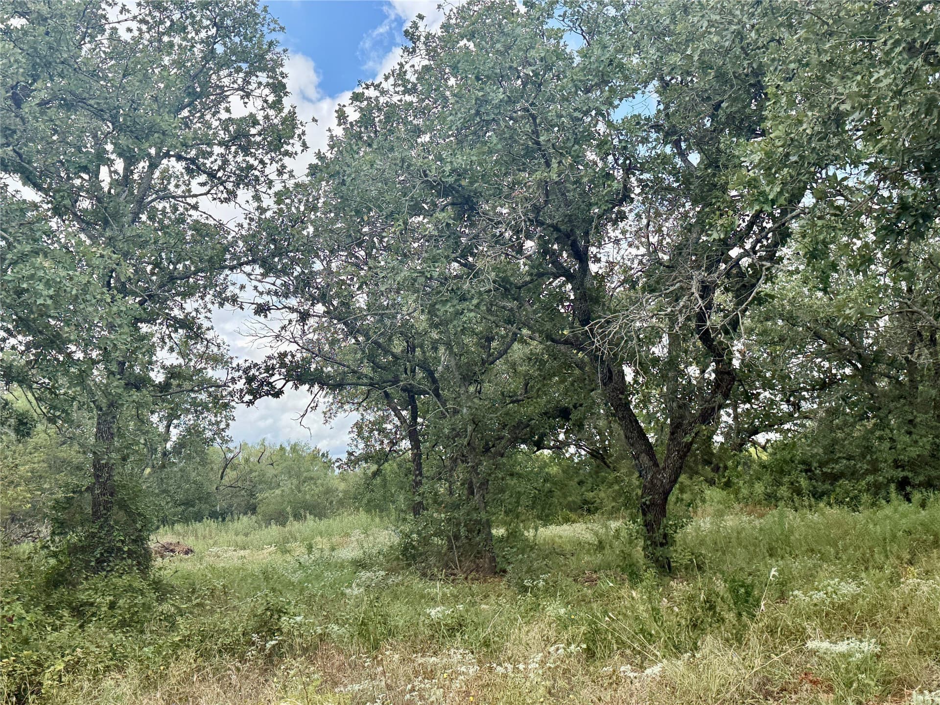 19.33 acres in Coleman County - photo 23