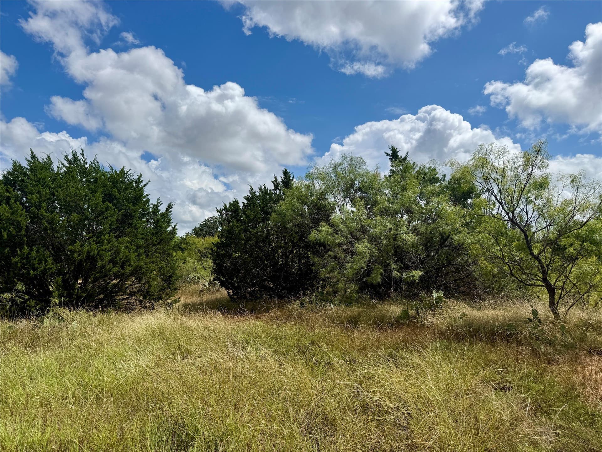19.33 acres in Coleman County - photo 32