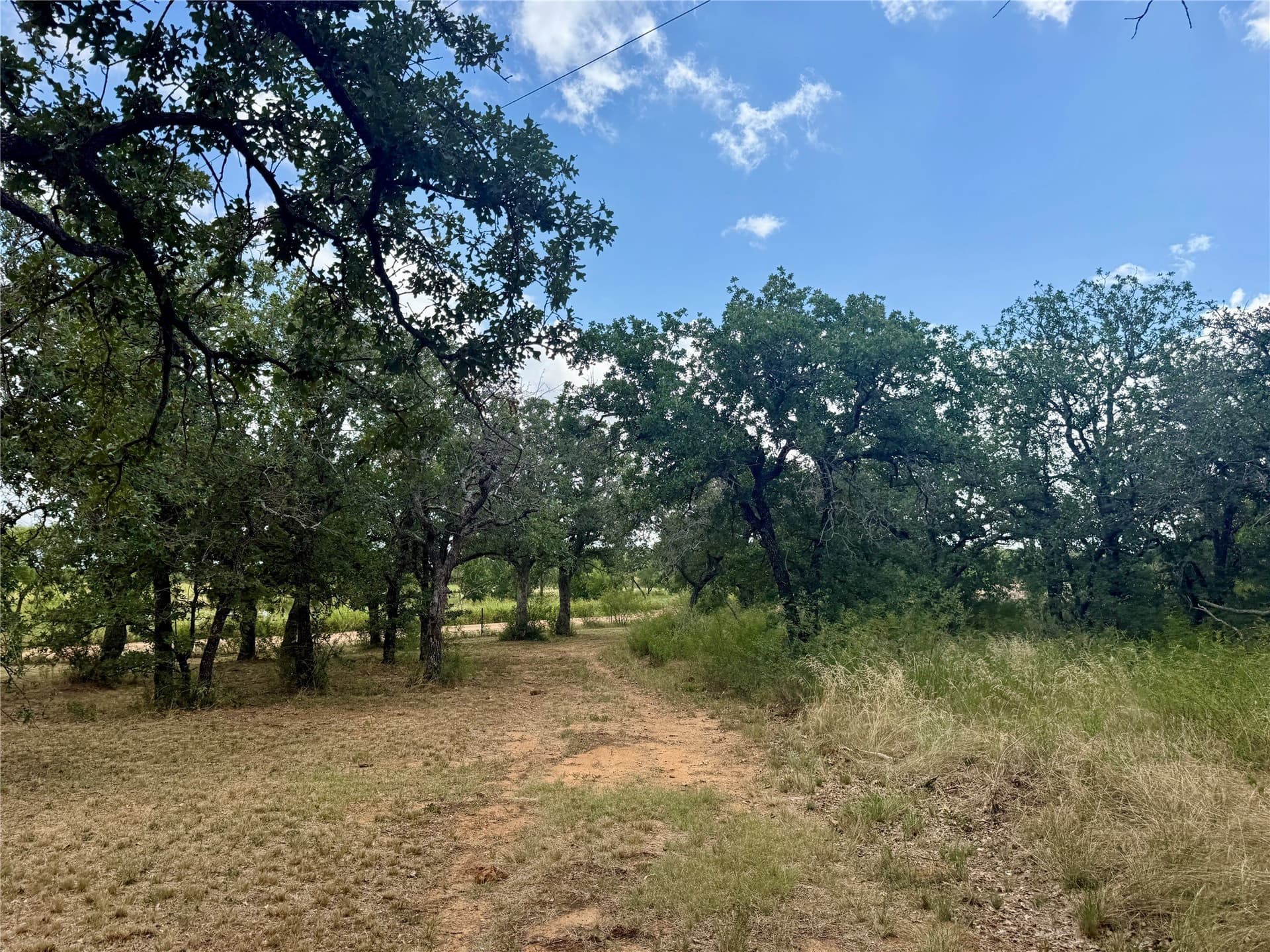 19.33 acres in Coleman County - photo 6