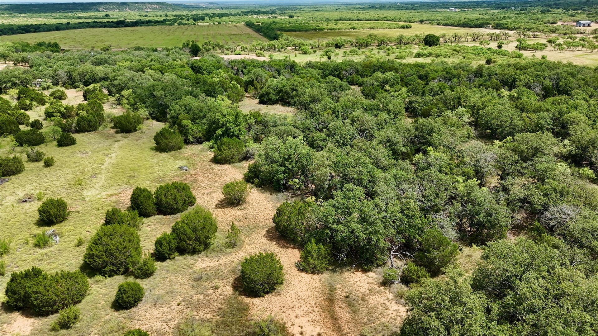 19.33 acres in Coleman County - photo 16