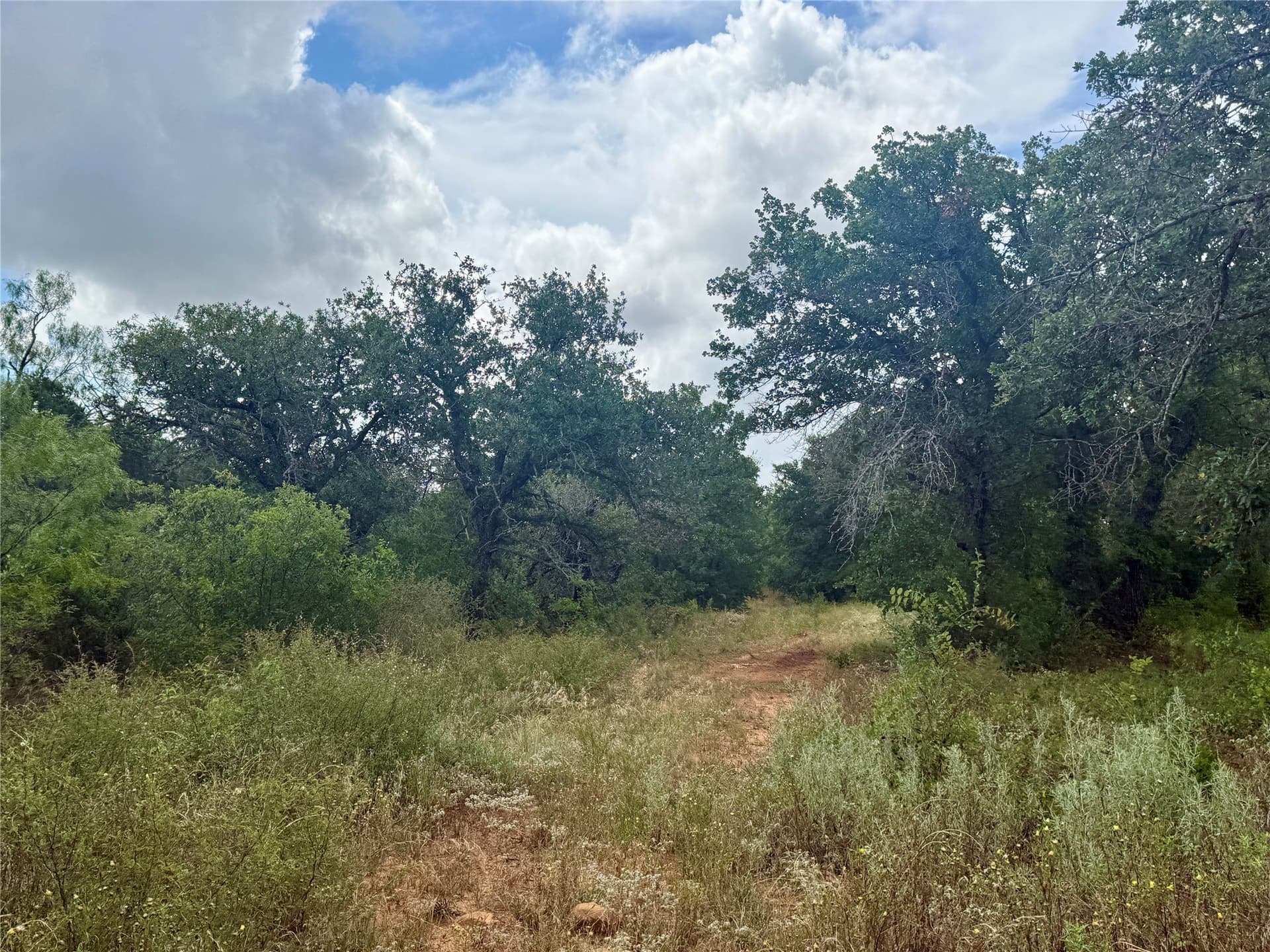19.33 acres in Coleman County - photo 22