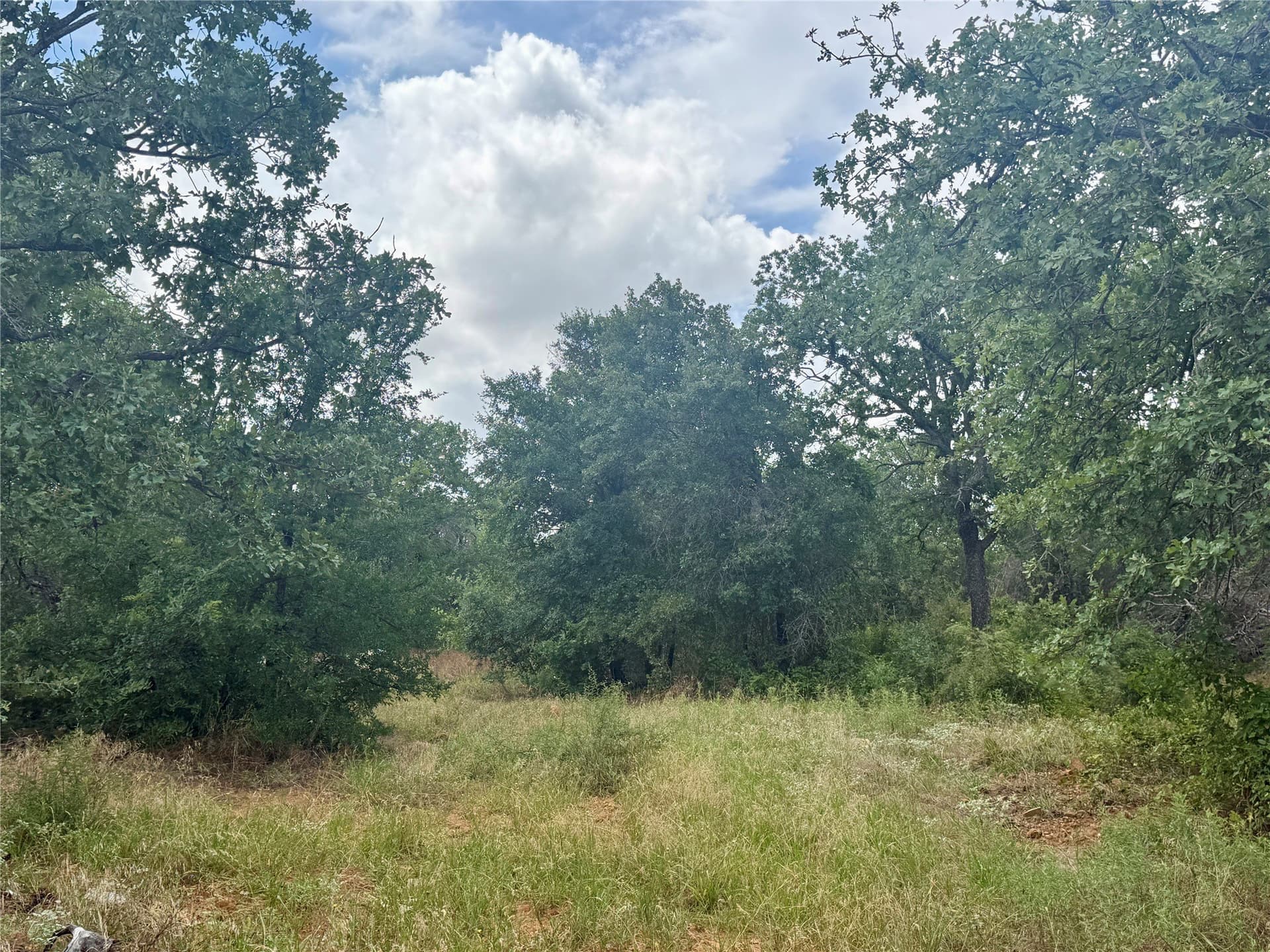 19.33 acres in Coleman County - photo 24