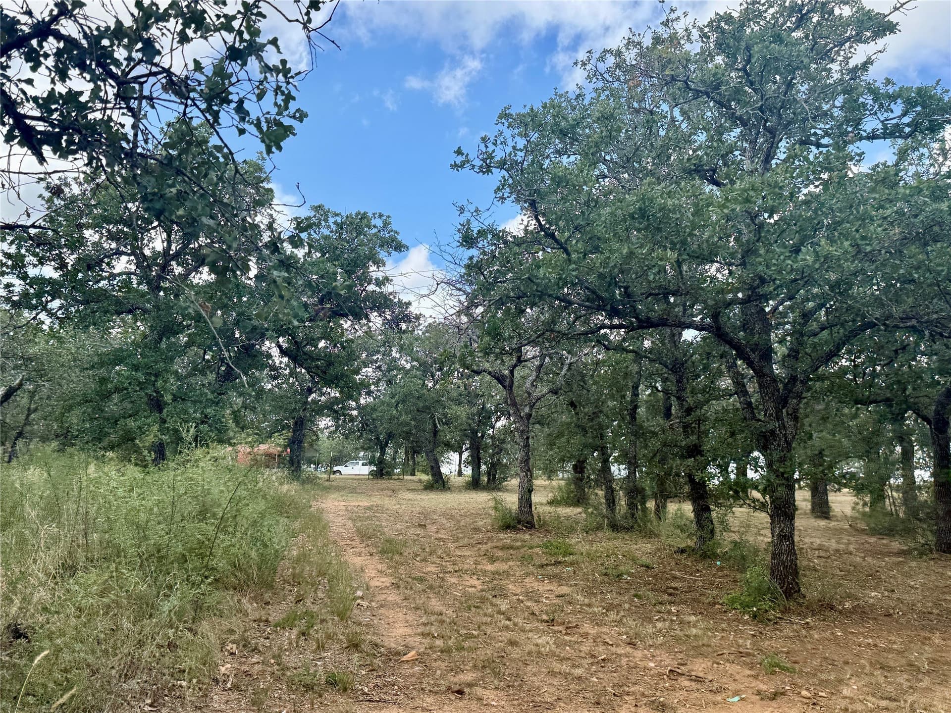 19.33 acres in Coleman County - photo 29