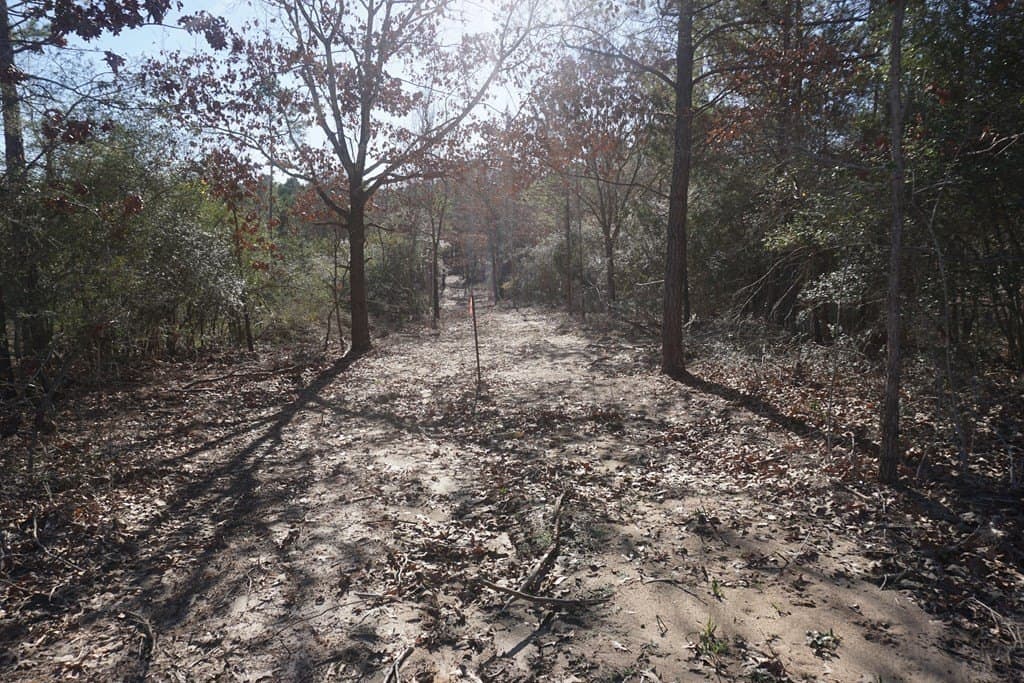 16.92 acres in LEON County - photo 6