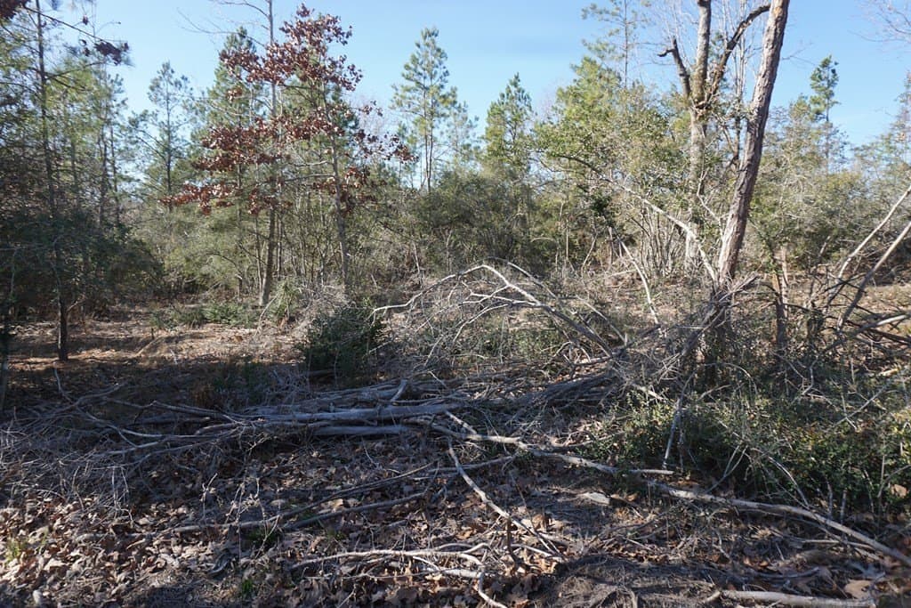 16.92 acres in LEON County featured view