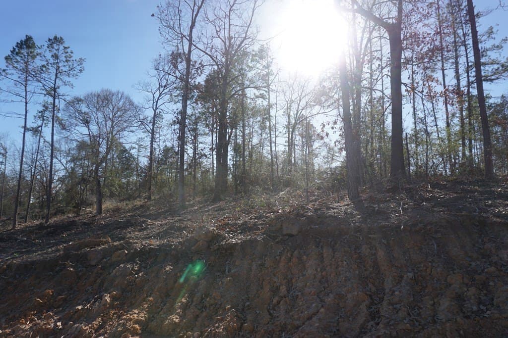 16.92 acres in LEON County gallery image 3