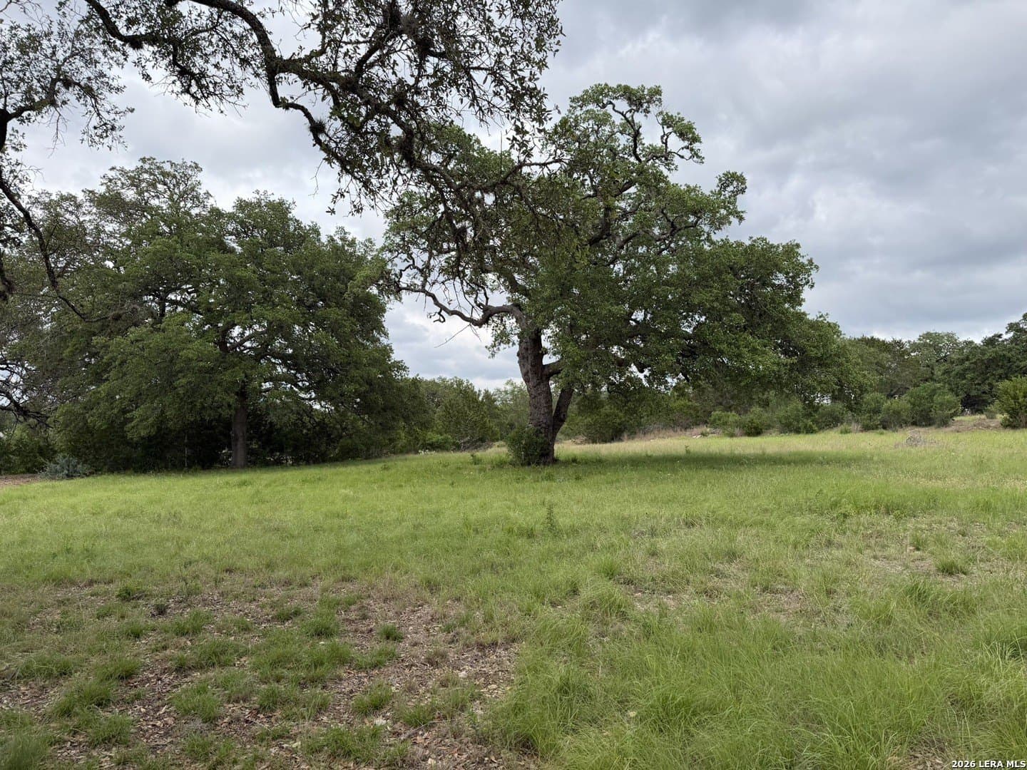 2 acres in Bandera County gallery image 4