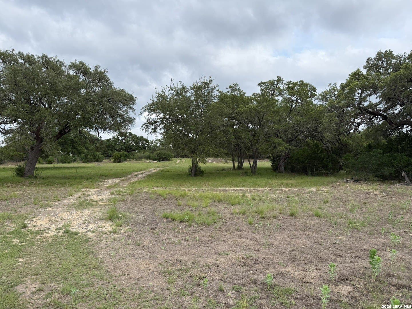 2 acres in Bandera County gallery image 2