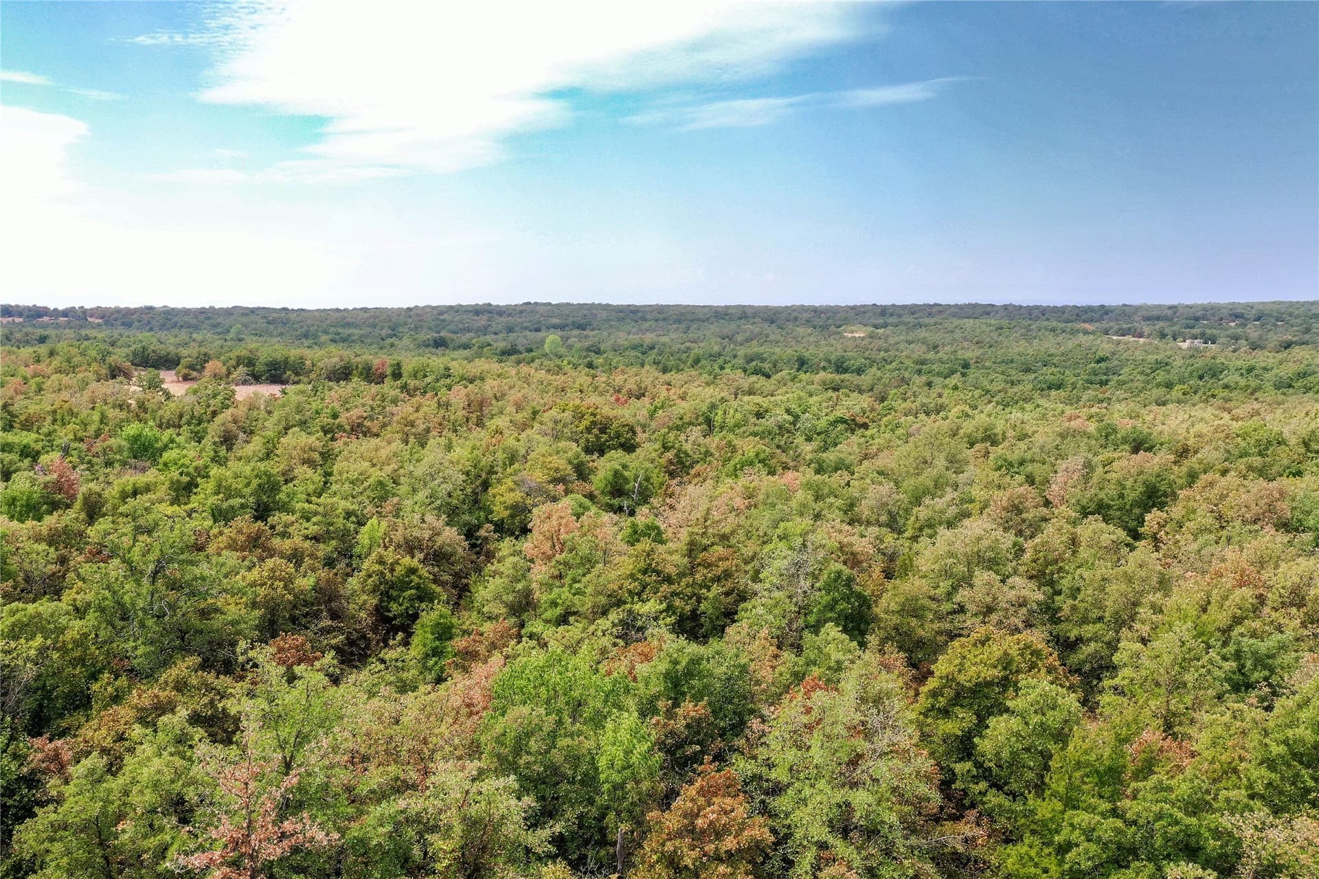 714.96 acres in Jack County - photo 20