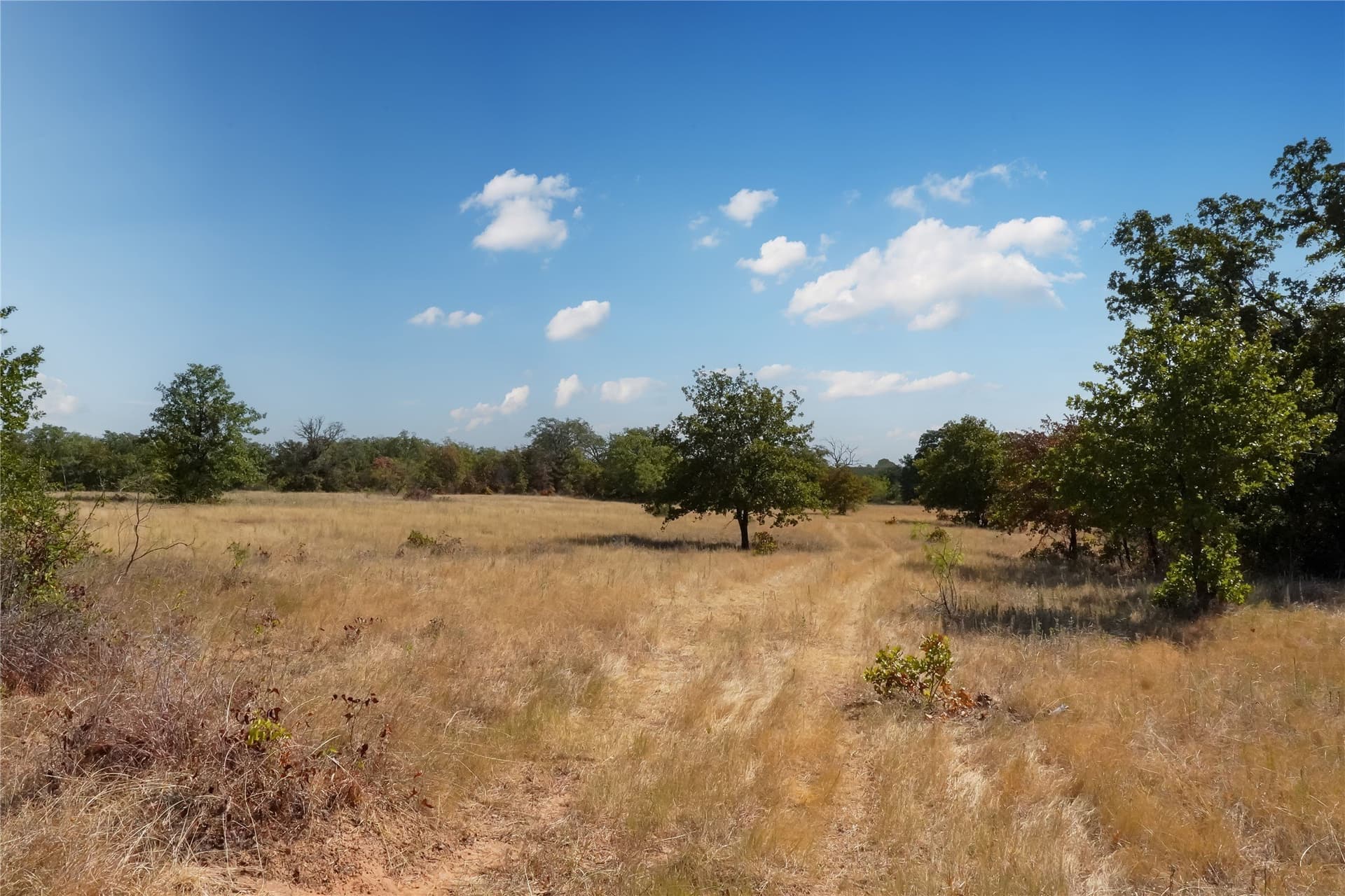 714.96 acres in Jack County - photo 27