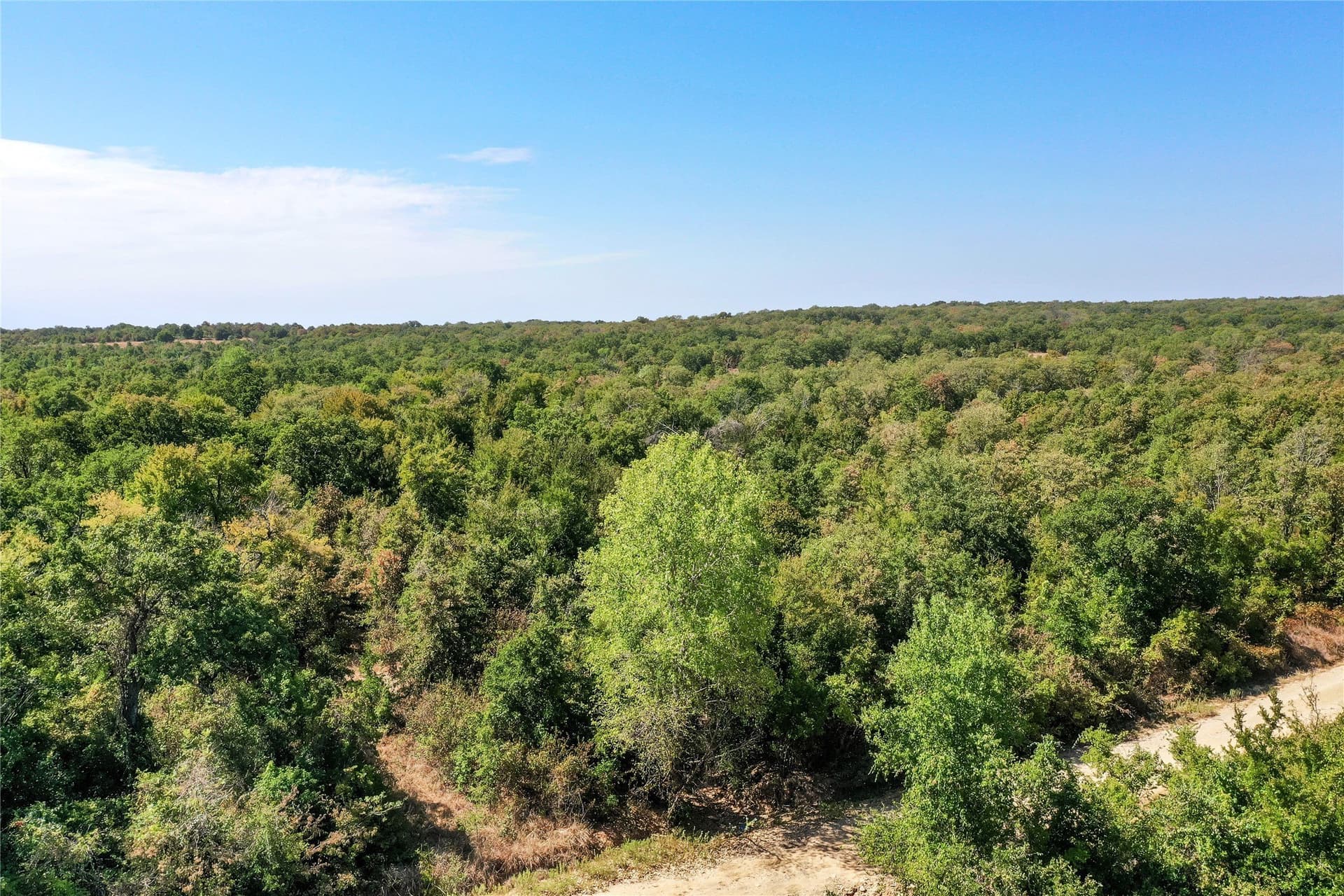 714.96 acres in Jack County - photo 5