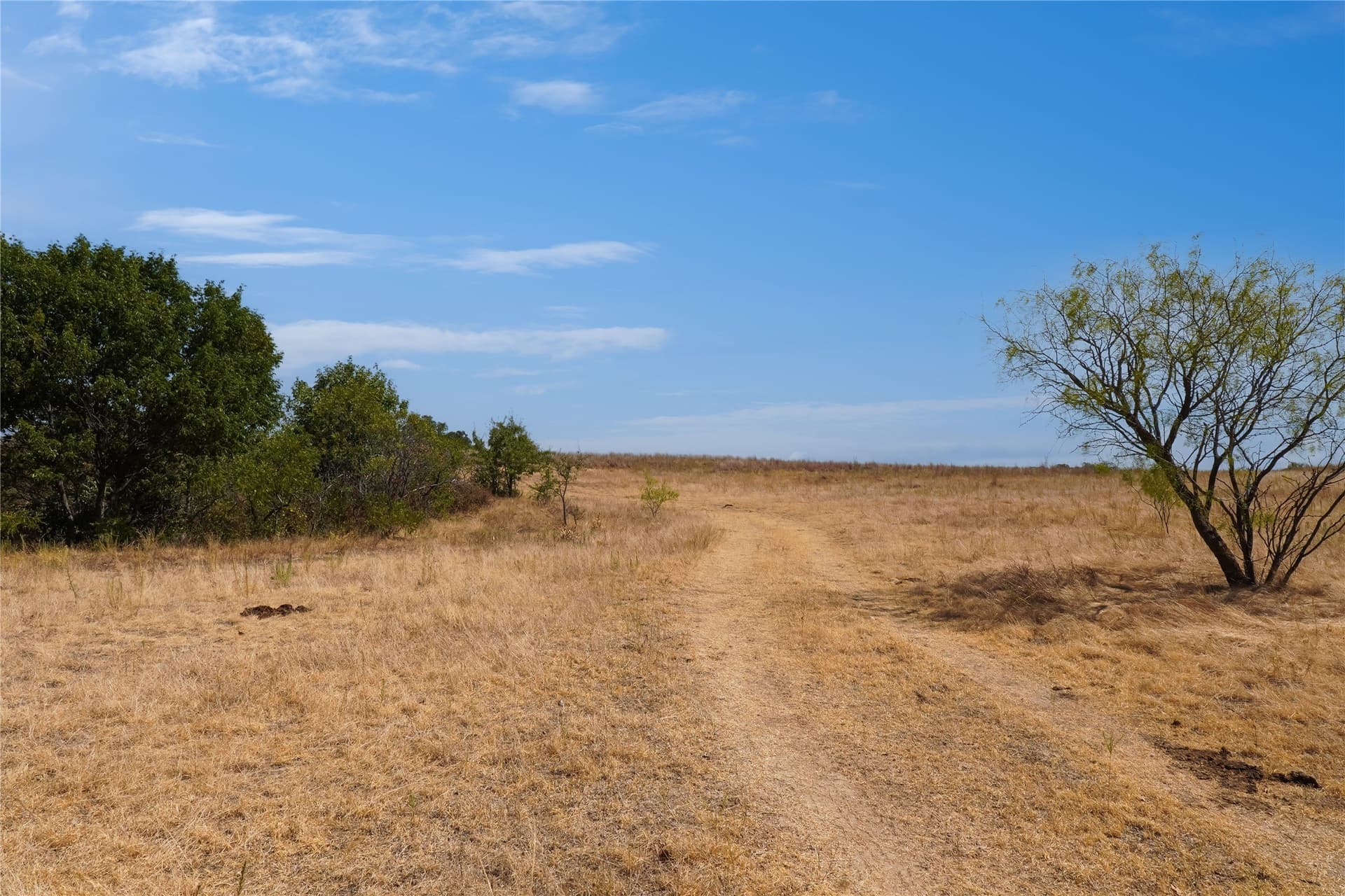 714.96 acres in Jack County - photo 37