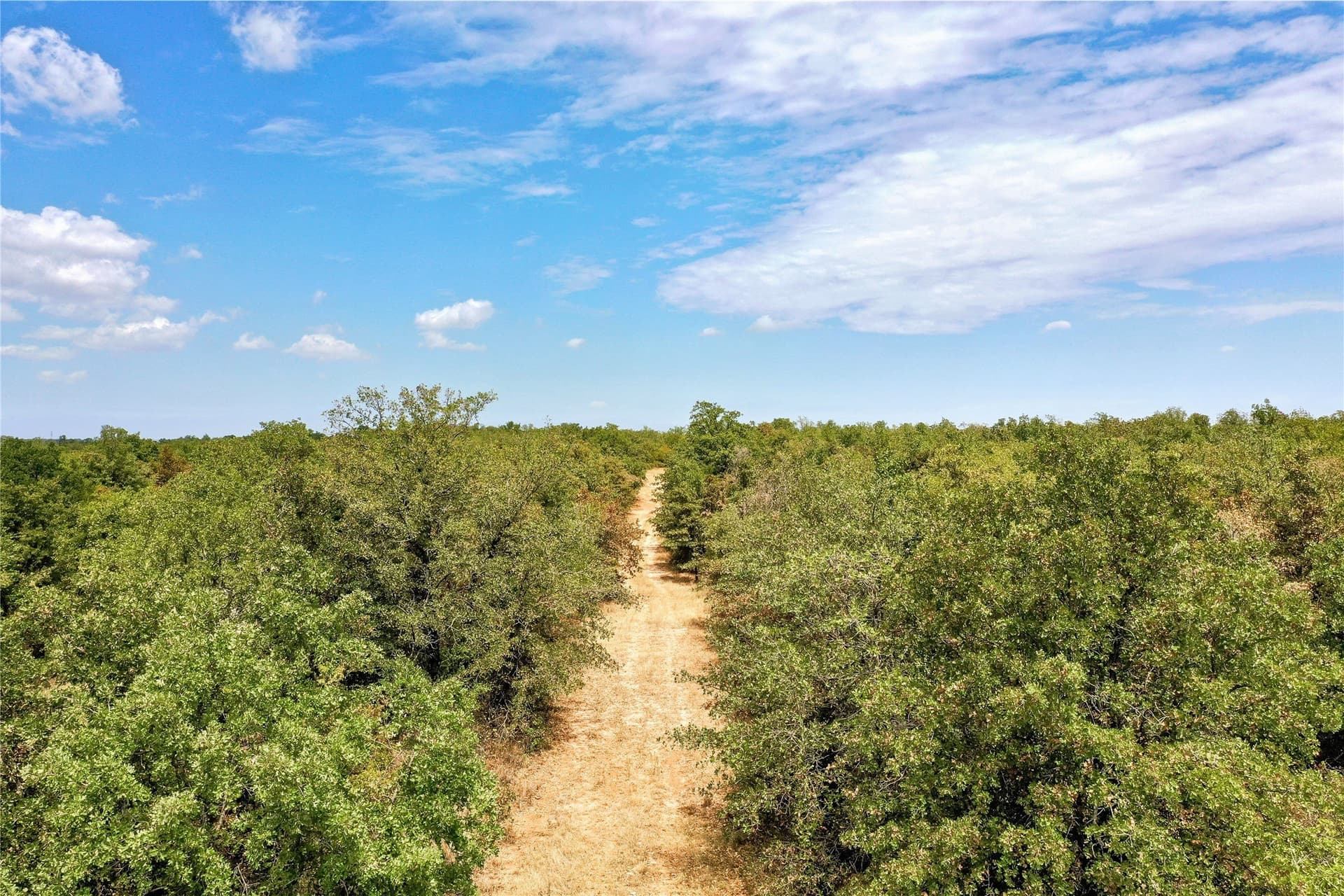 714.96 acres in Jack County - photo 23