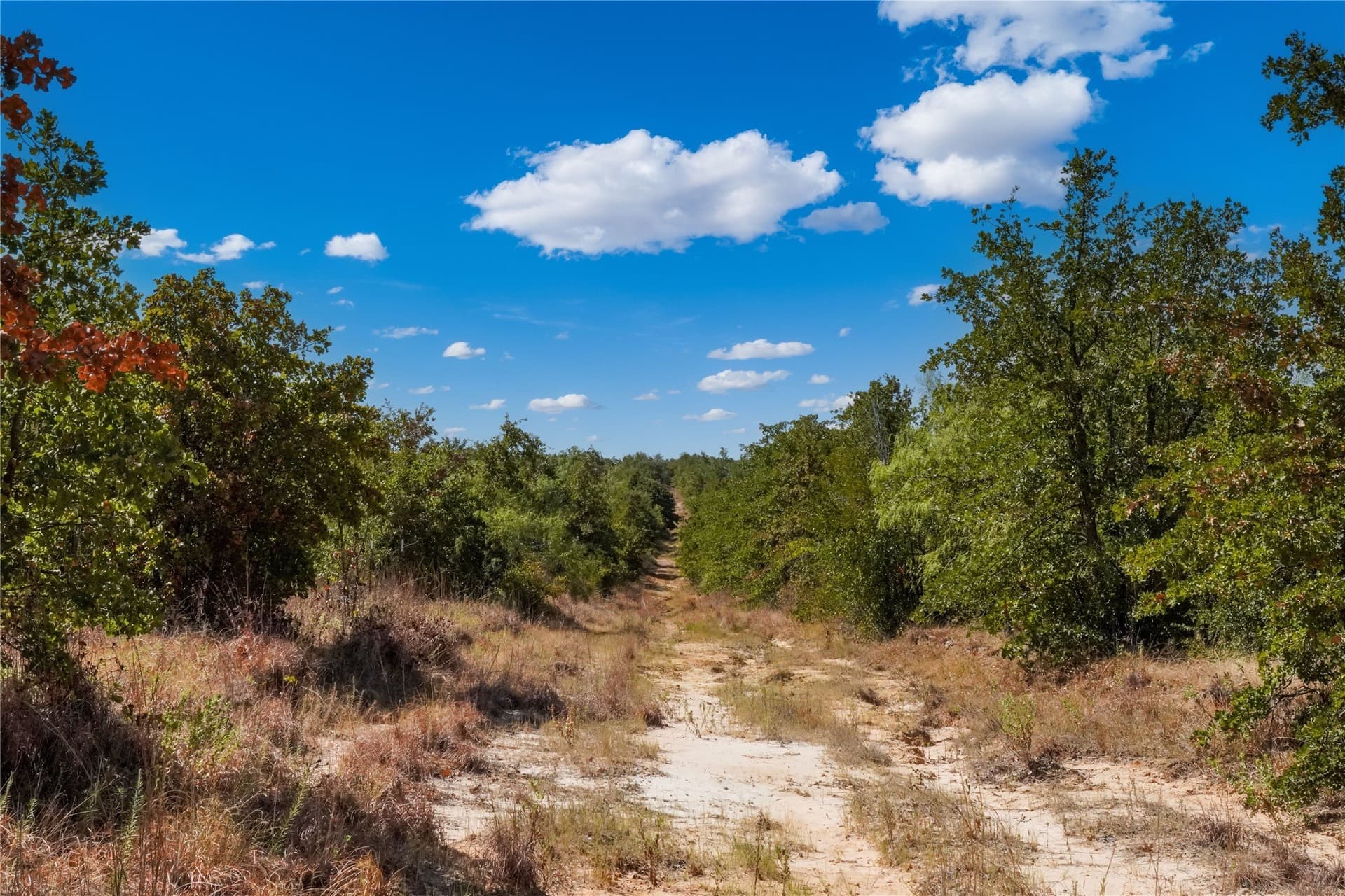 714.96 acres in Jack County - photo 31