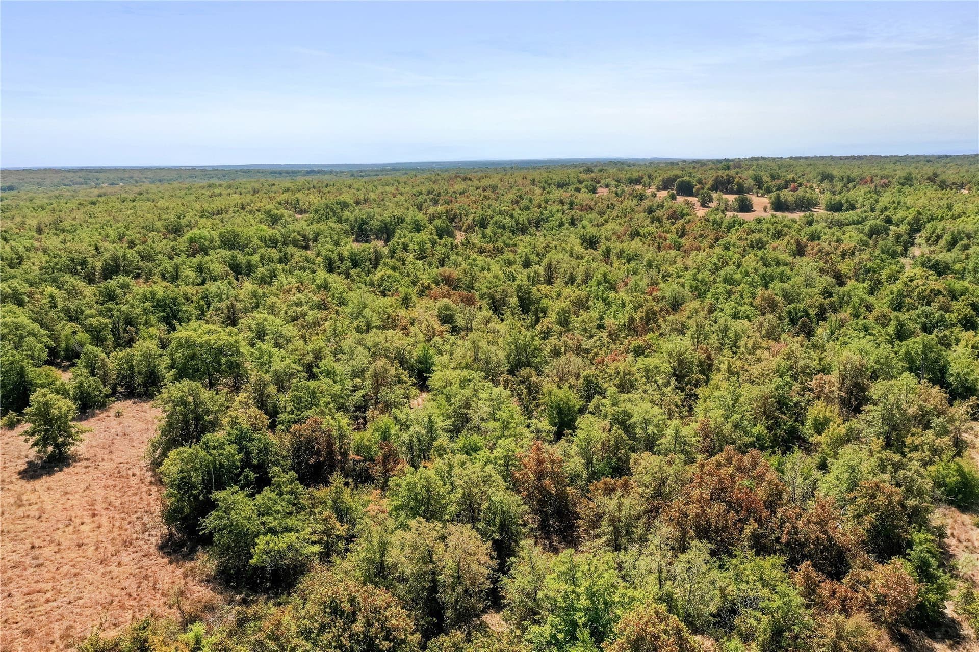 714.96 acres in Jack County - photo 11