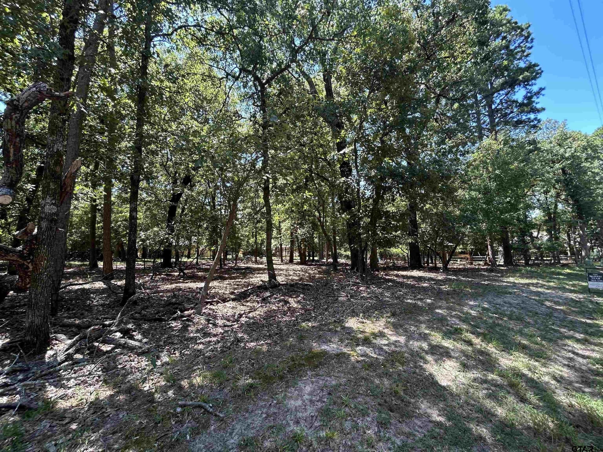 0 acres in Wood County gallery image 4