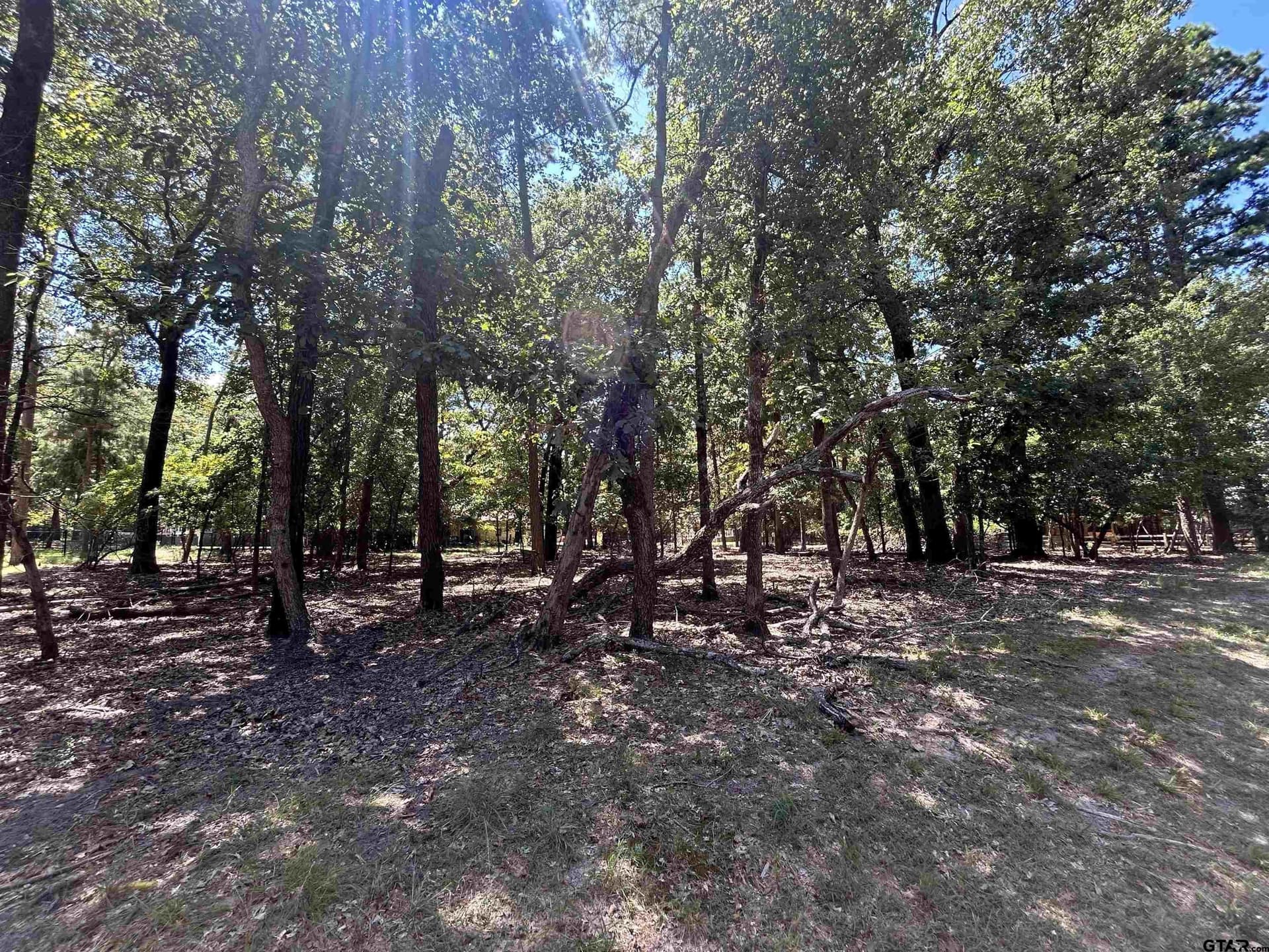 0 acres in Wood County gallery image 3