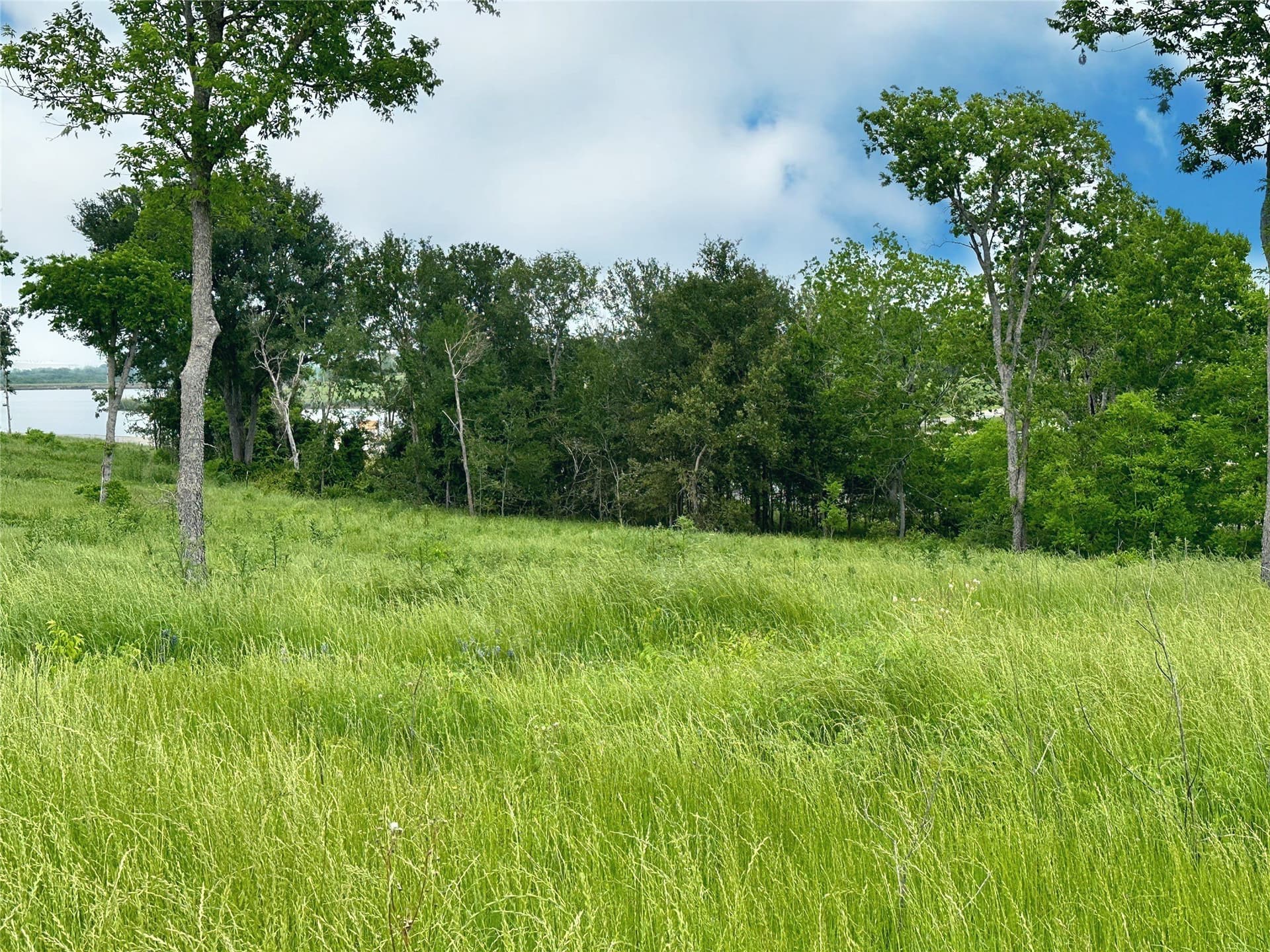 1.08 acres in Navarro County - photo 6