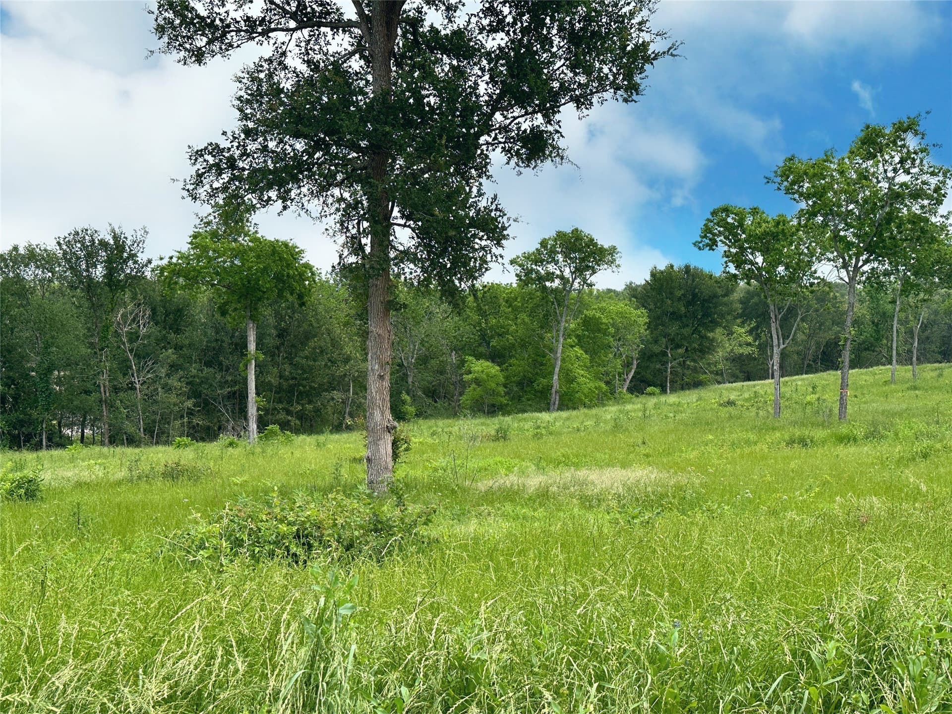 1.08 acres in Navarro County - photo 19