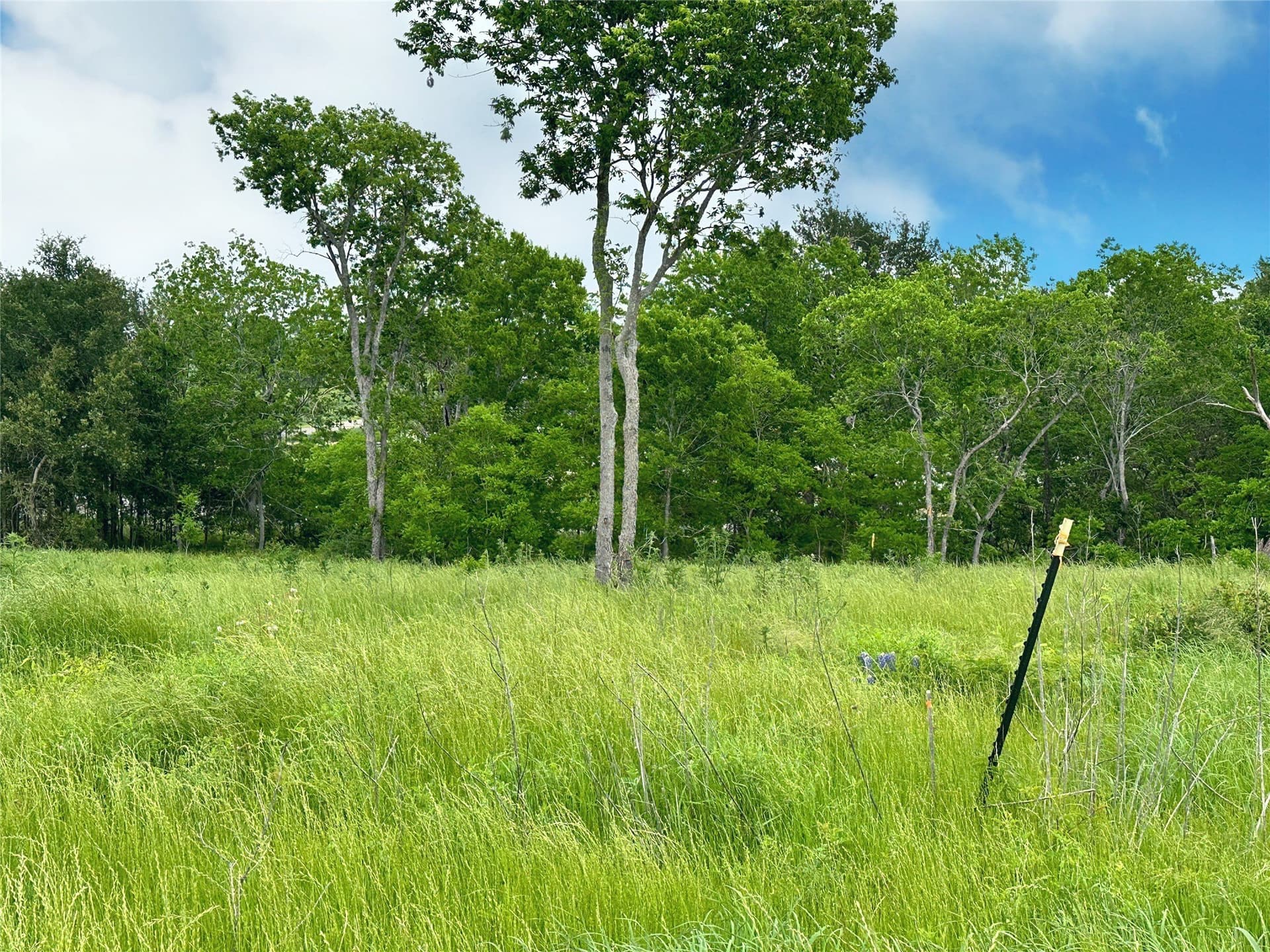 1.08 acres in Navarro County - photo 25