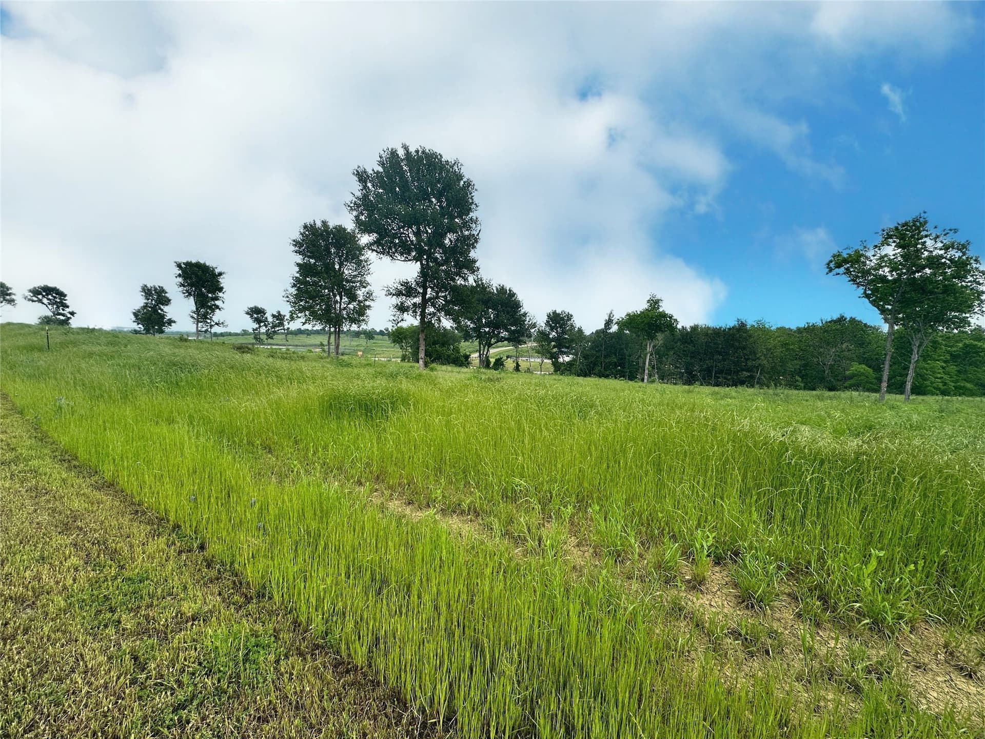1.08 acres in Navarro County featured view