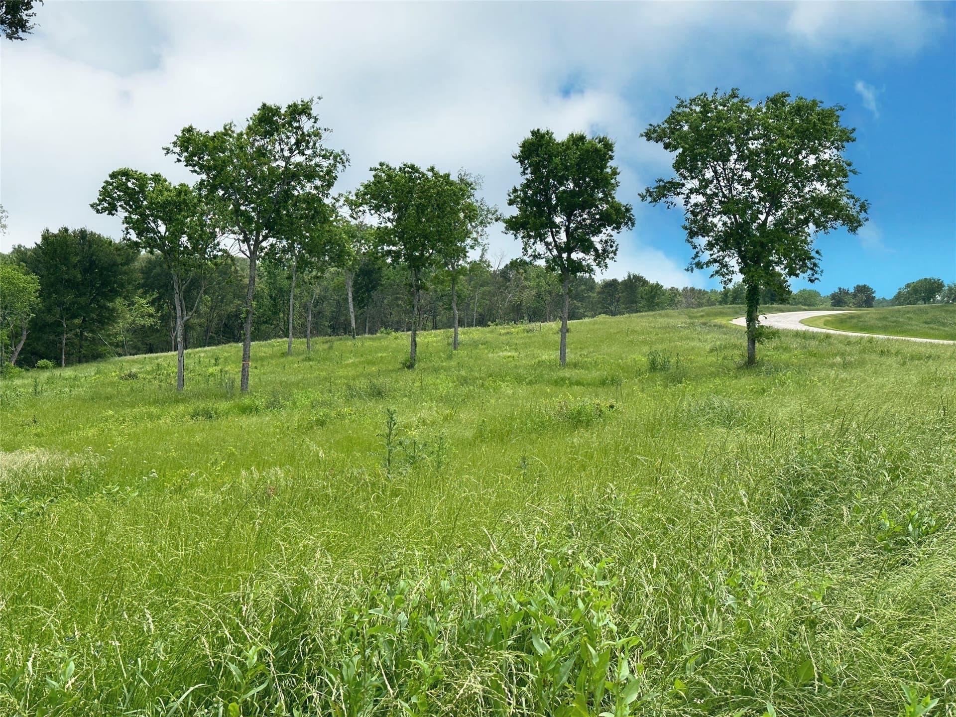 1.08 acres in Navarro County - photo 27