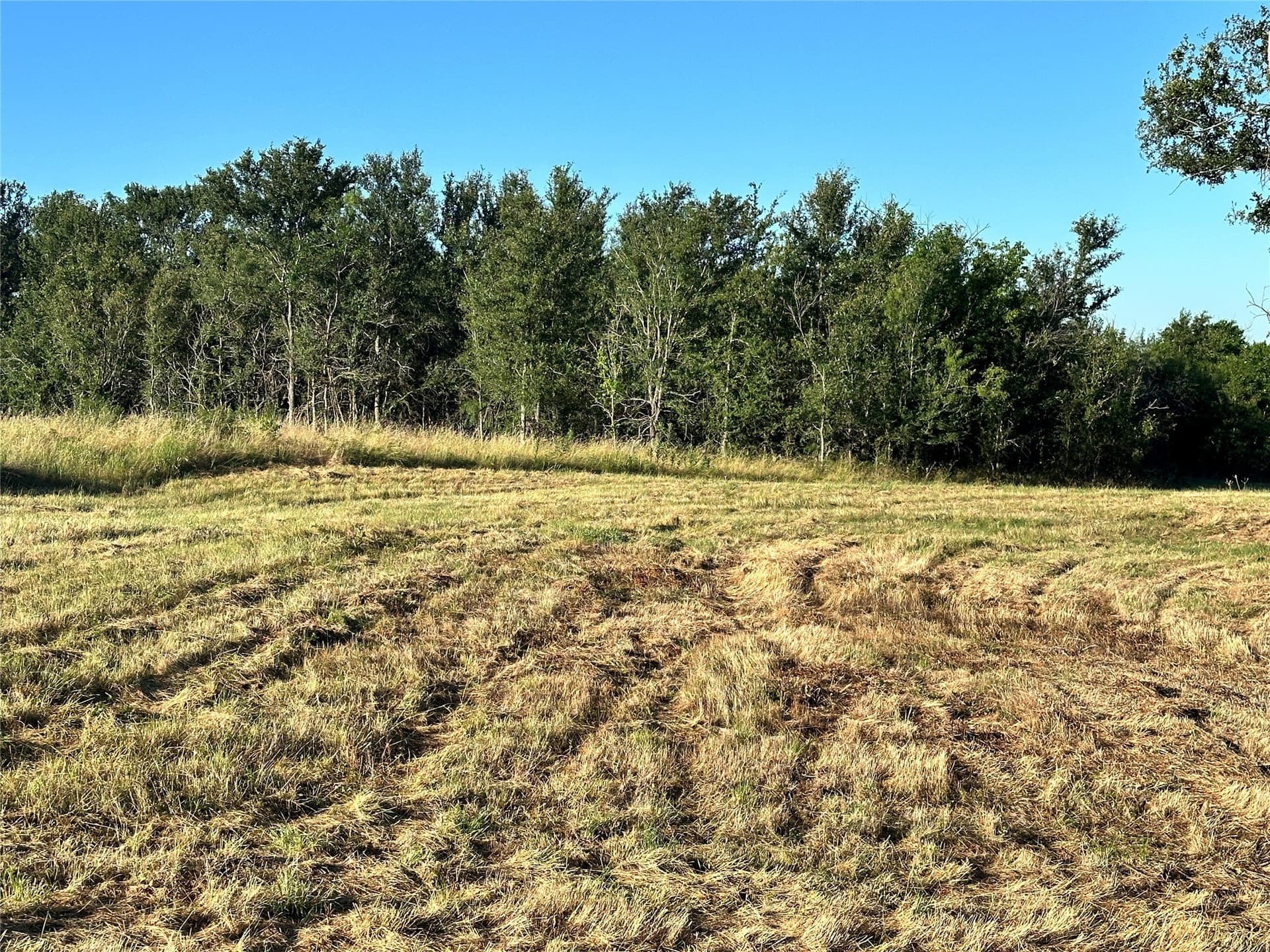 1.08 acres in Navarro County - photo 29