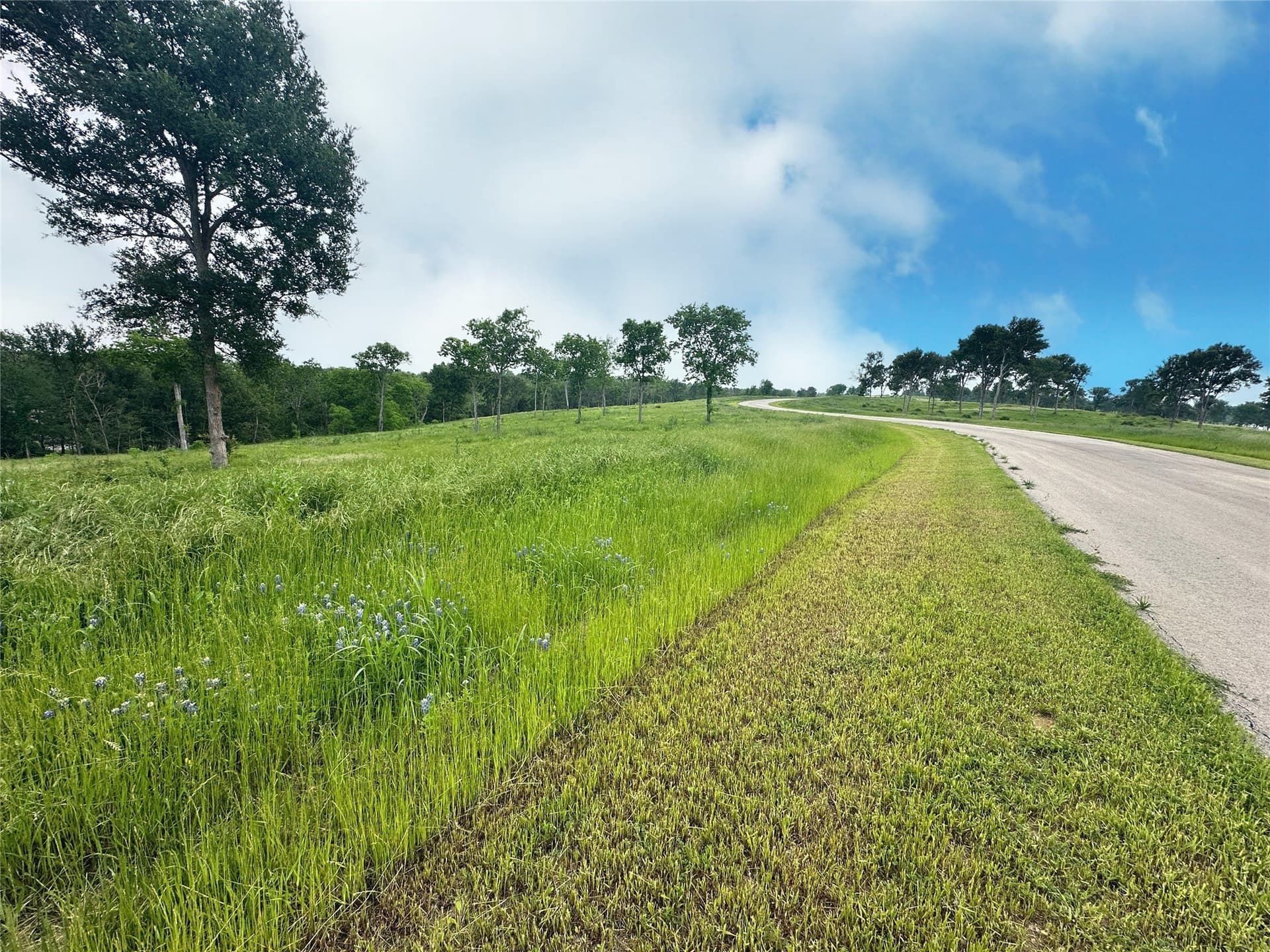 1.08 acres in Navarro County - photo 10