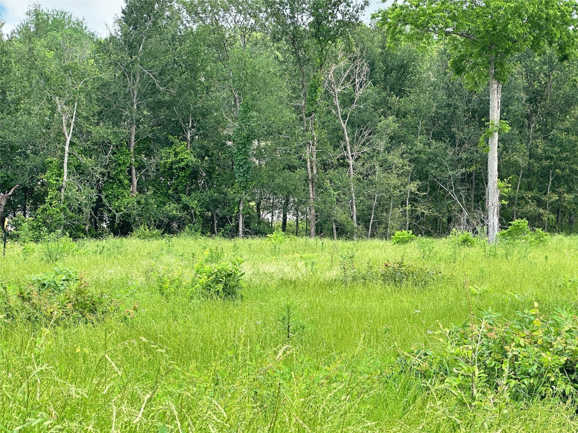1.08 acres in Navarro County - photo 20