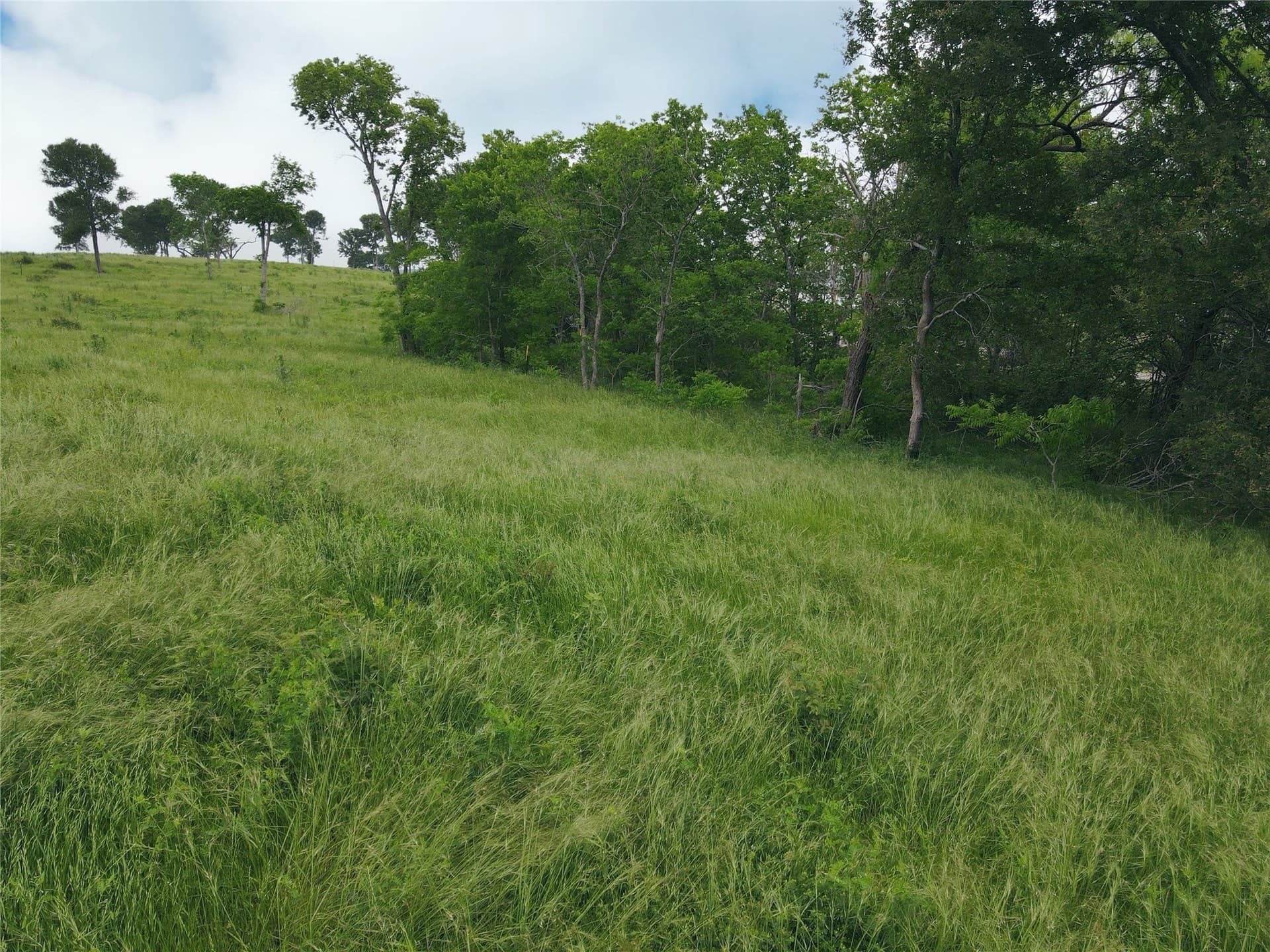 1.08 acres in Navarro County - photo 22